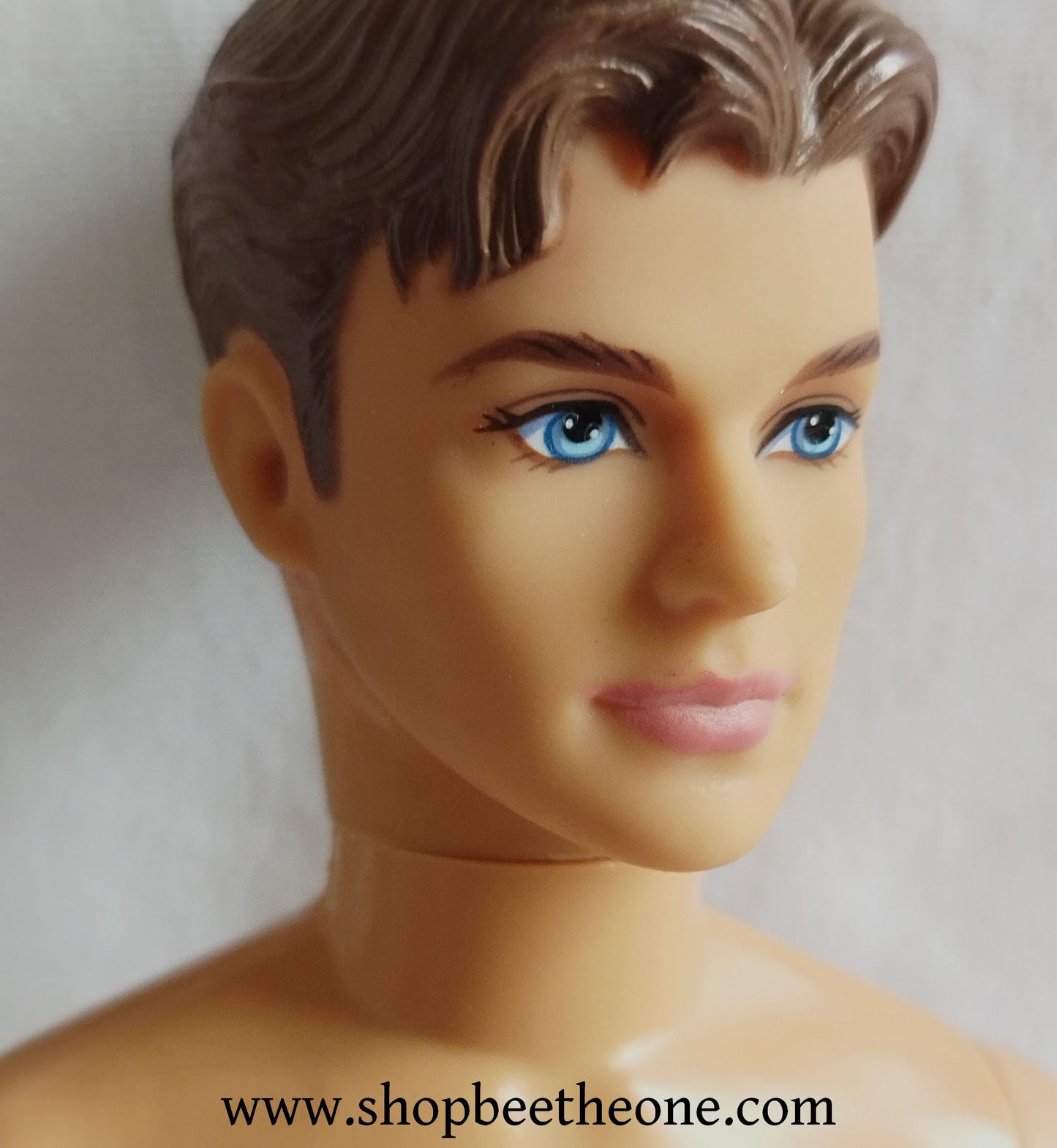 Barbie et les Trois Mousquetaires (Barbie and the 3 Musketeers) - Prince Louis - Mattel 2009 - Poupée