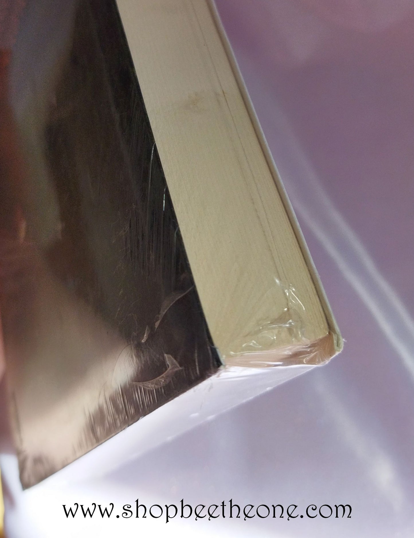 Livre roman "Le Testament d'Ariane"