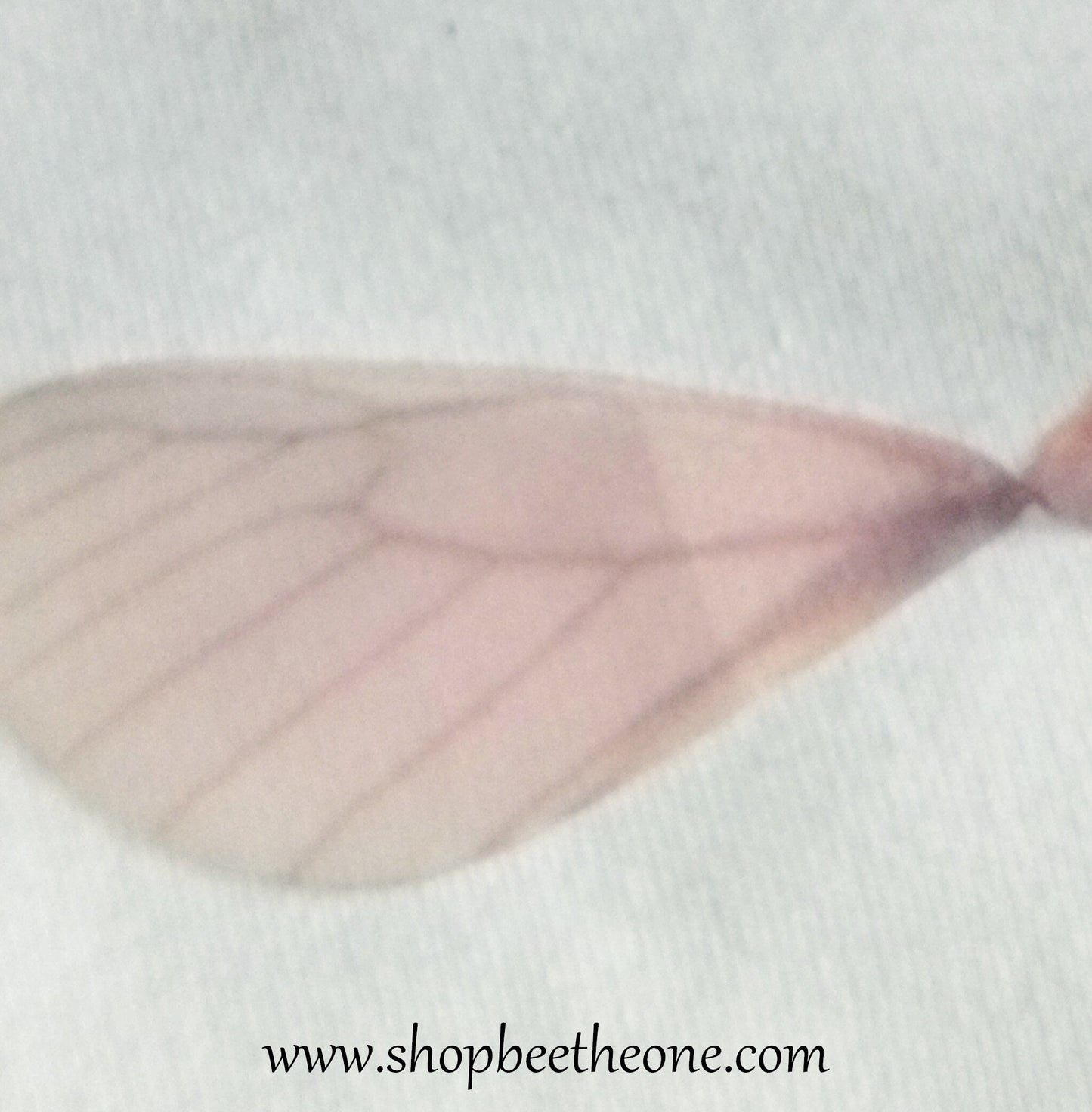 Breloque Paire d'ailes en organza format large - 8 x 2,5 cm - 3 coloris