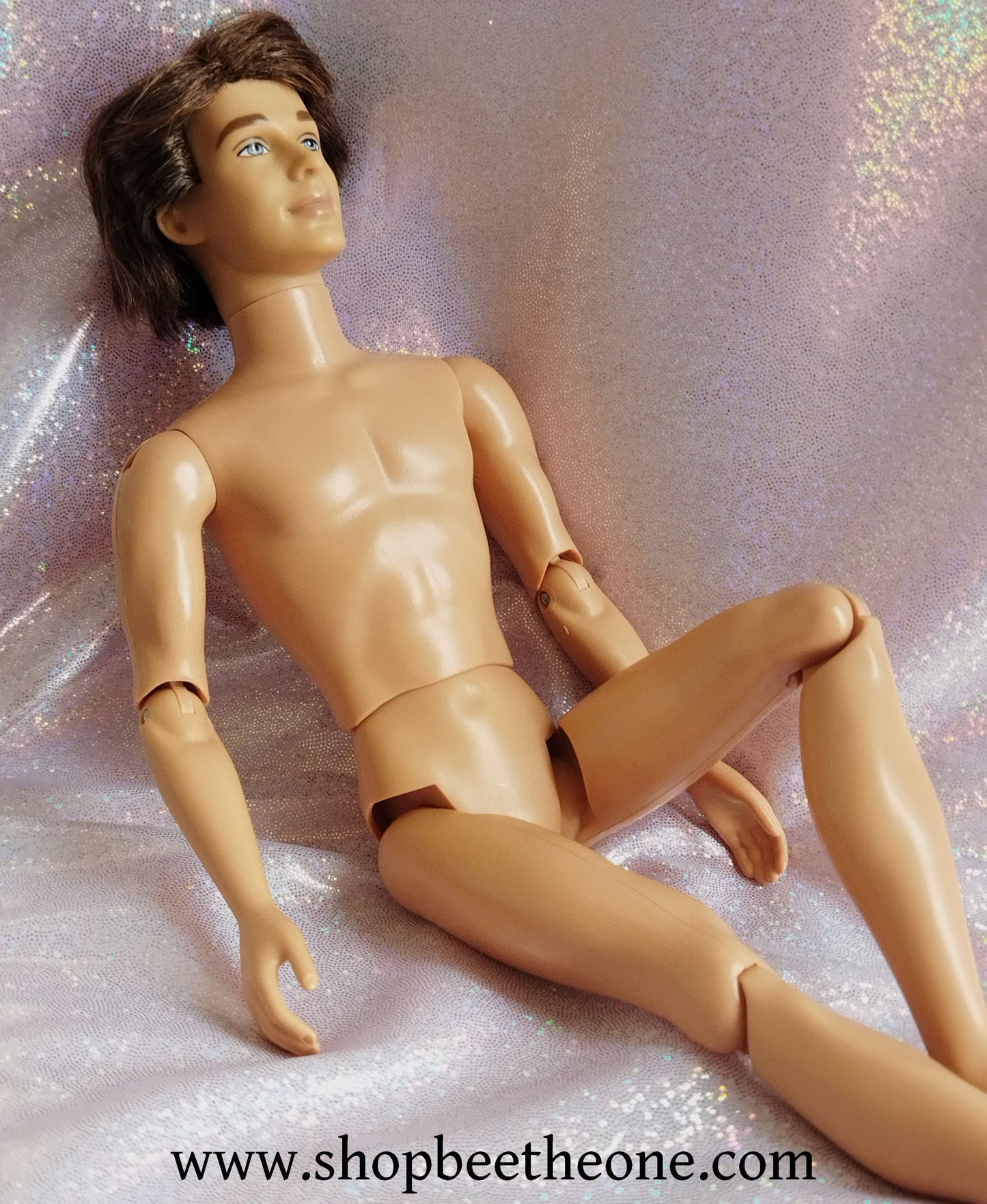 Barbie au Bal des 12 Princesses (Barbie and the 12 Dancing Princesses) - Prince Derek - Mattel 2006 - Poupée