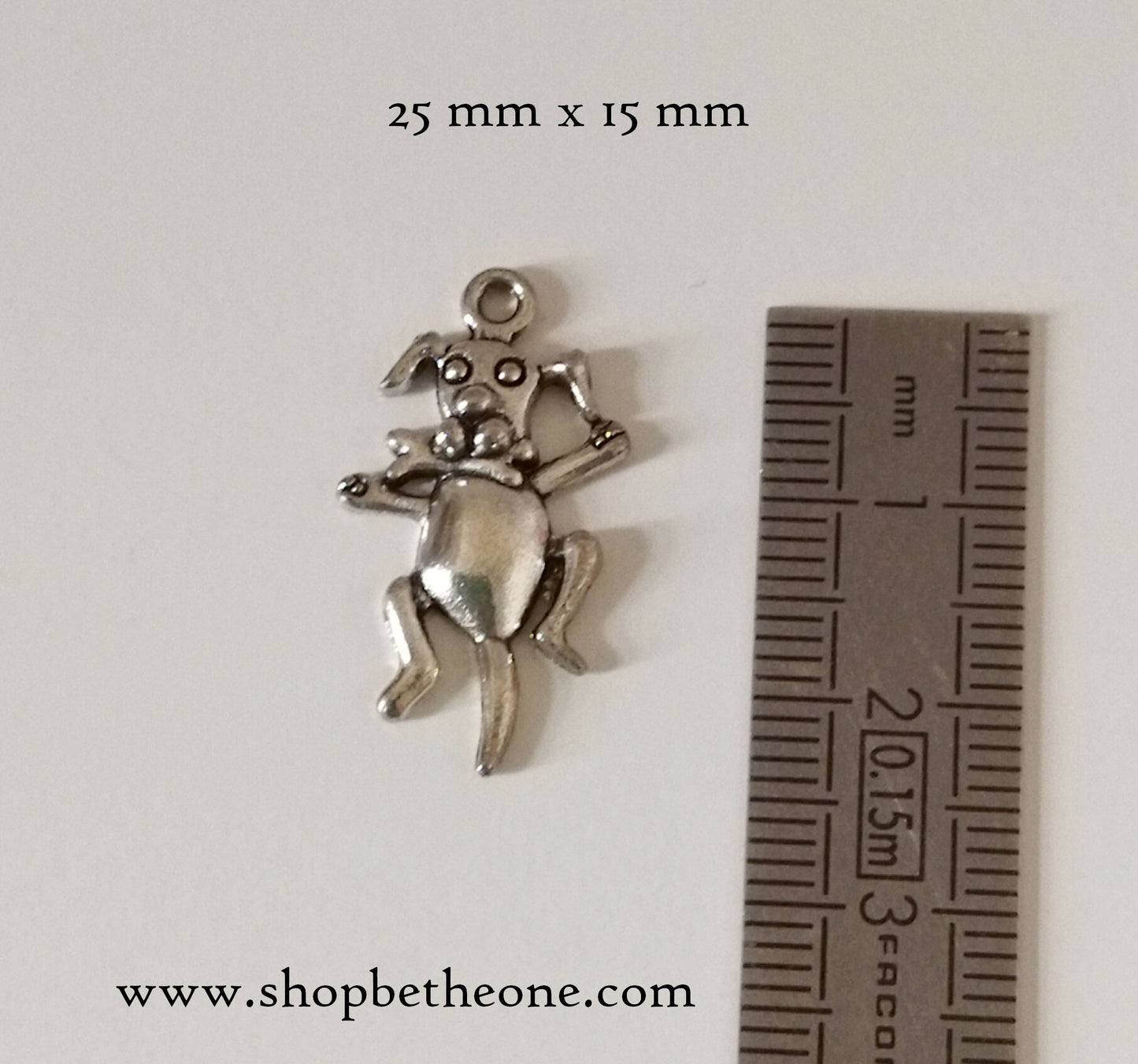 Breloque Chien avec os - 25 mm - argenté