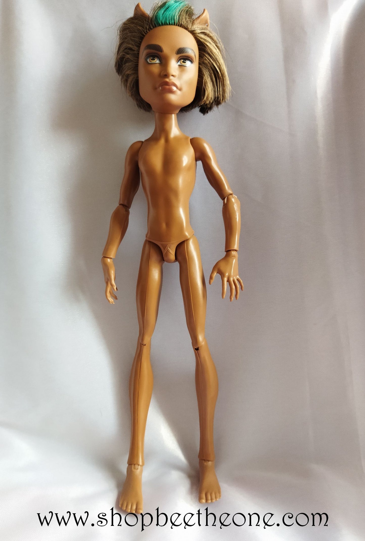 Clawd Wolf Sweet 1600 - Mattel 2011 - Poupée - Vêtement - Chaussures