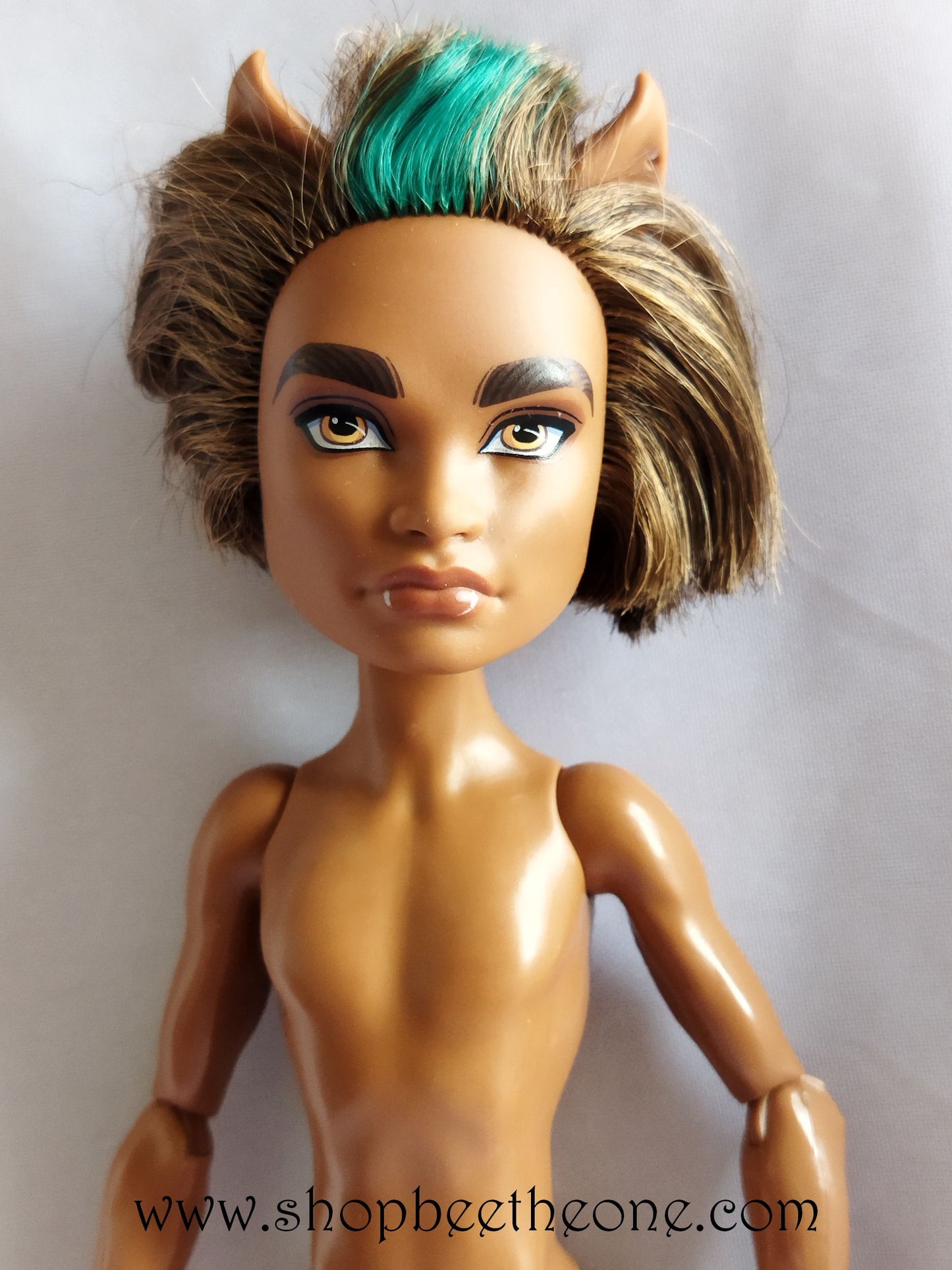 Clawd Wolf Sweet 1600 - Mattel 2011 - Poupée - Vêtement - Chaussures