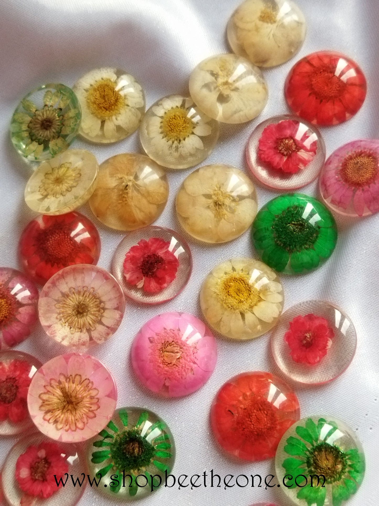 Cabochon rond en verre loupe avec Fleur séchée - 25 mm - 7 modèles