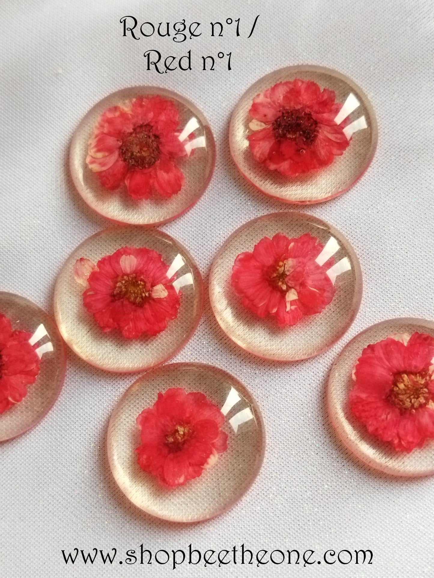 Cabochon rond en verre loupe avec Fleur séchée - 25 mm - 7 modèles