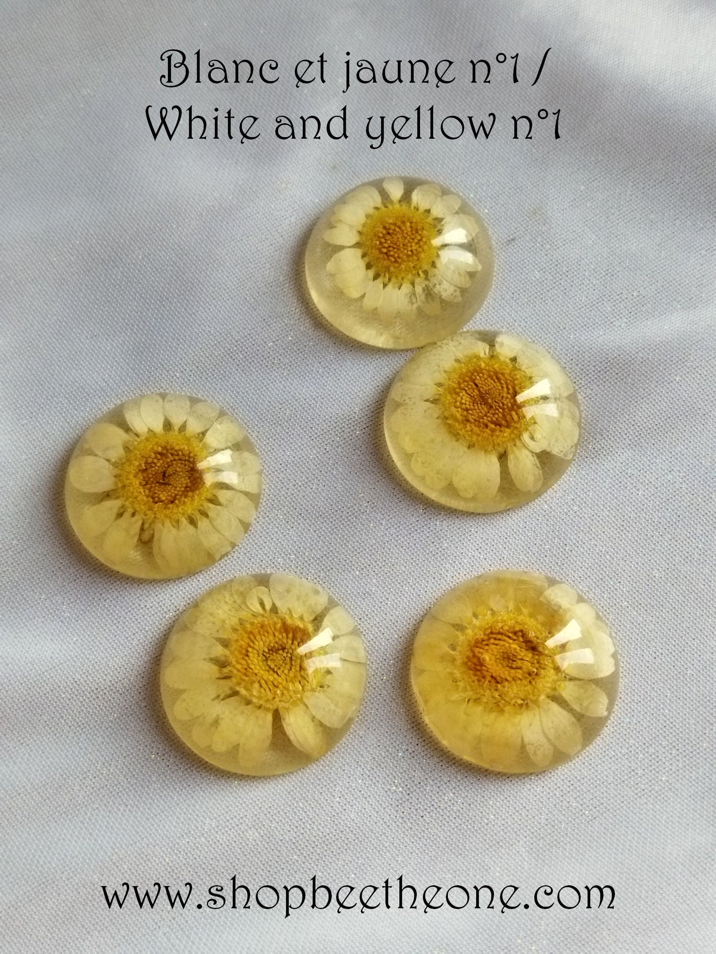 Cabochon rond en verre loupe avec Fleur séchée - 25 mm - 7 modèles