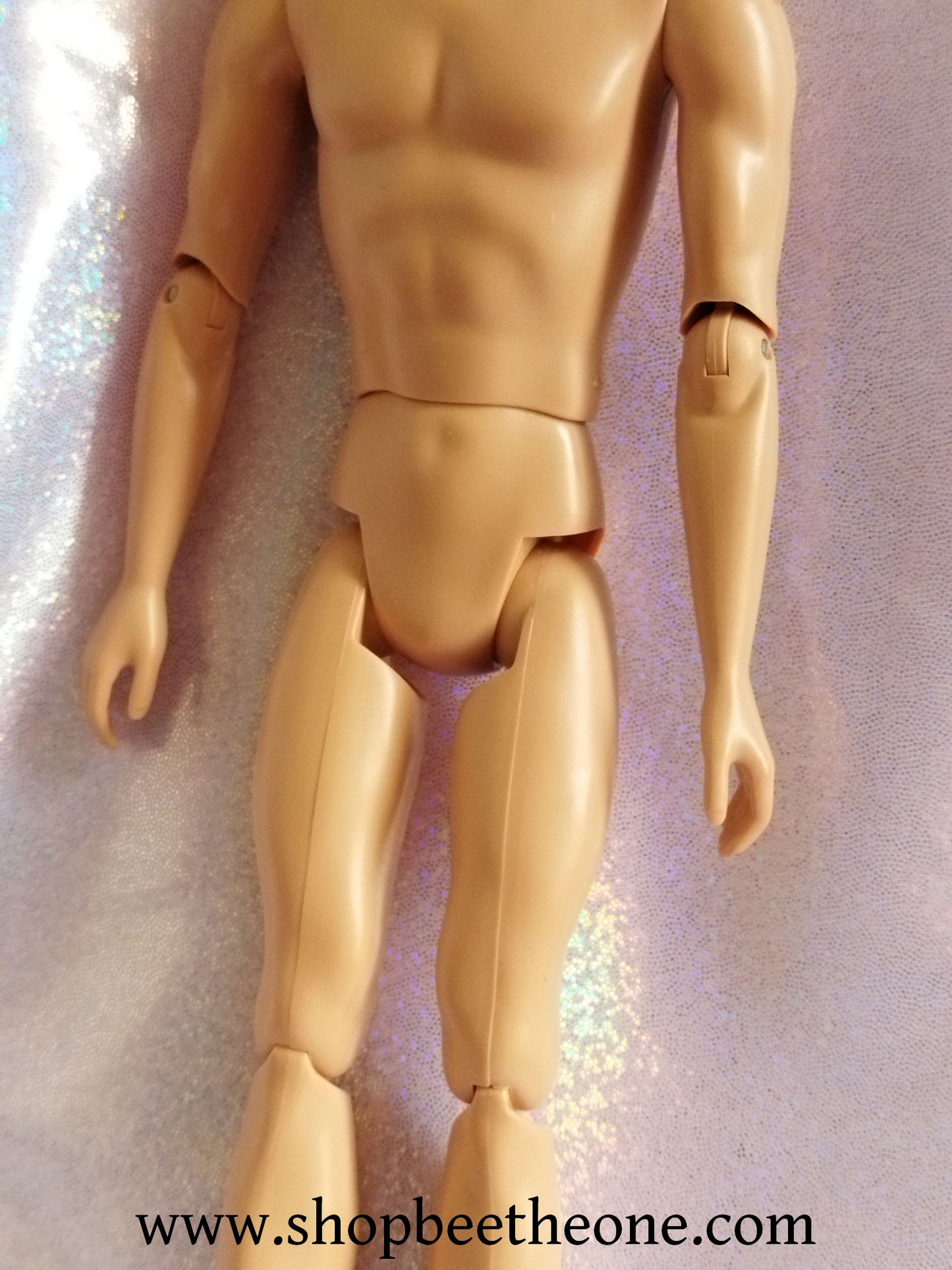 Barbie au Bal des 12 Princesses (Barbie and the 12 Dancing Princesses) - Prince Derek - Mattel 2006 - Poupée
