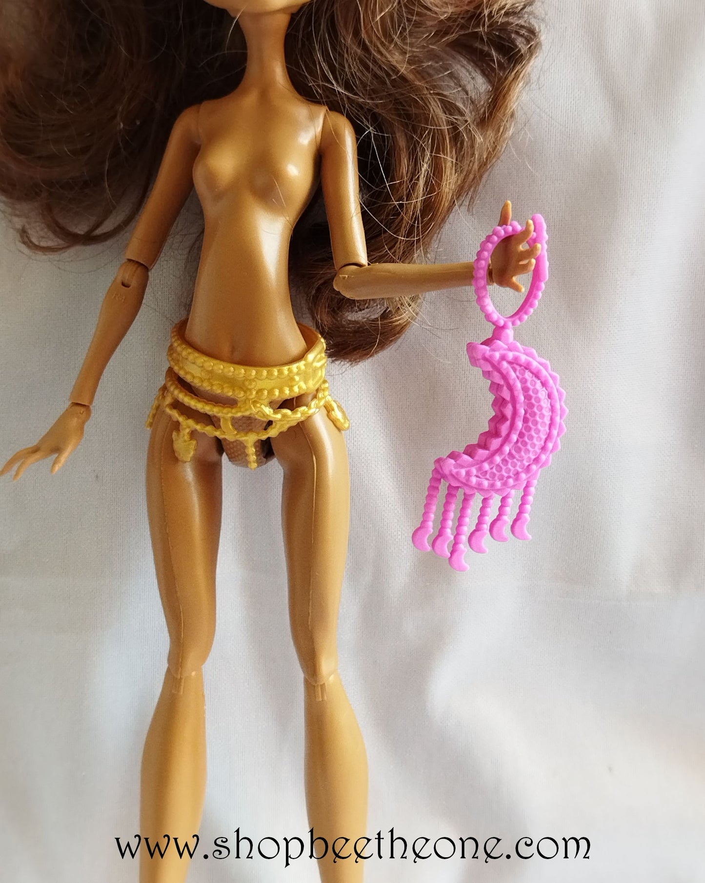 Clawdeen Wolf Frights, Camera, Action! Black Carpet - Mattel 2013 - Accessoires