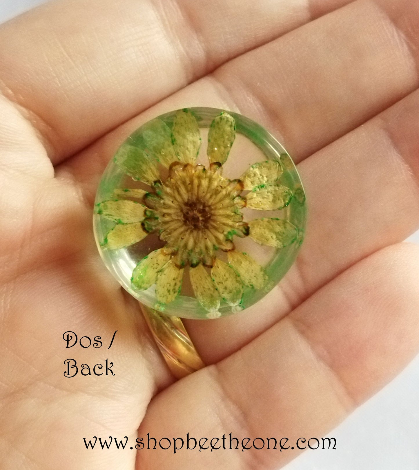 Cabochon rond en verre loupe avec Fleur séchée - 25 mm - 7 modèles