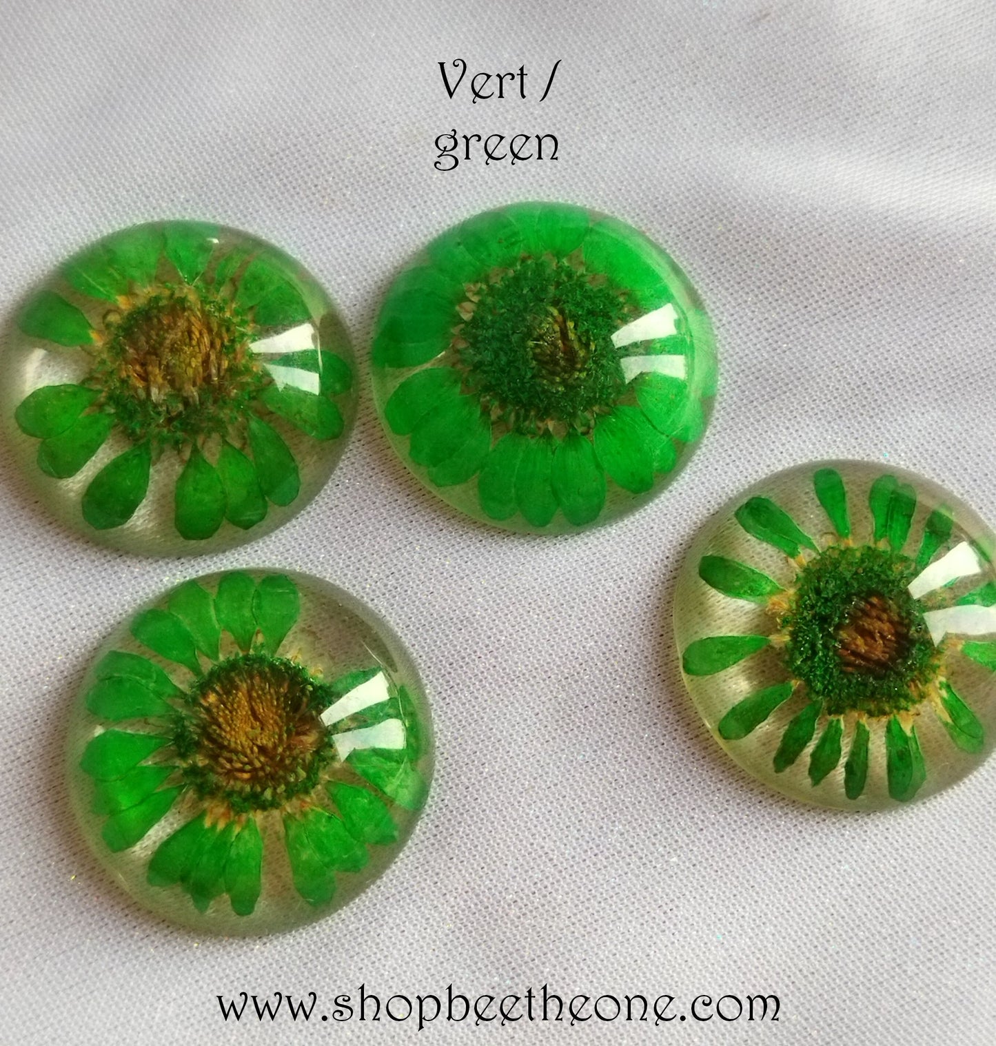 Cabochon rond en verre loupe avec Fleur séchée - 25 mm - 7 modèles