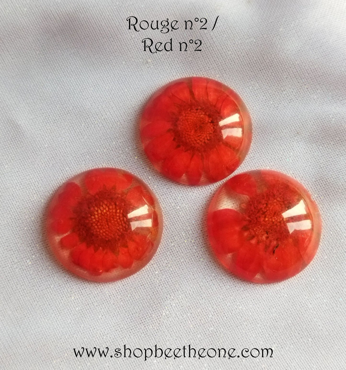 Cabochon rond en verre loupe avec Fleur séchée - 25 mm - 7 modèles