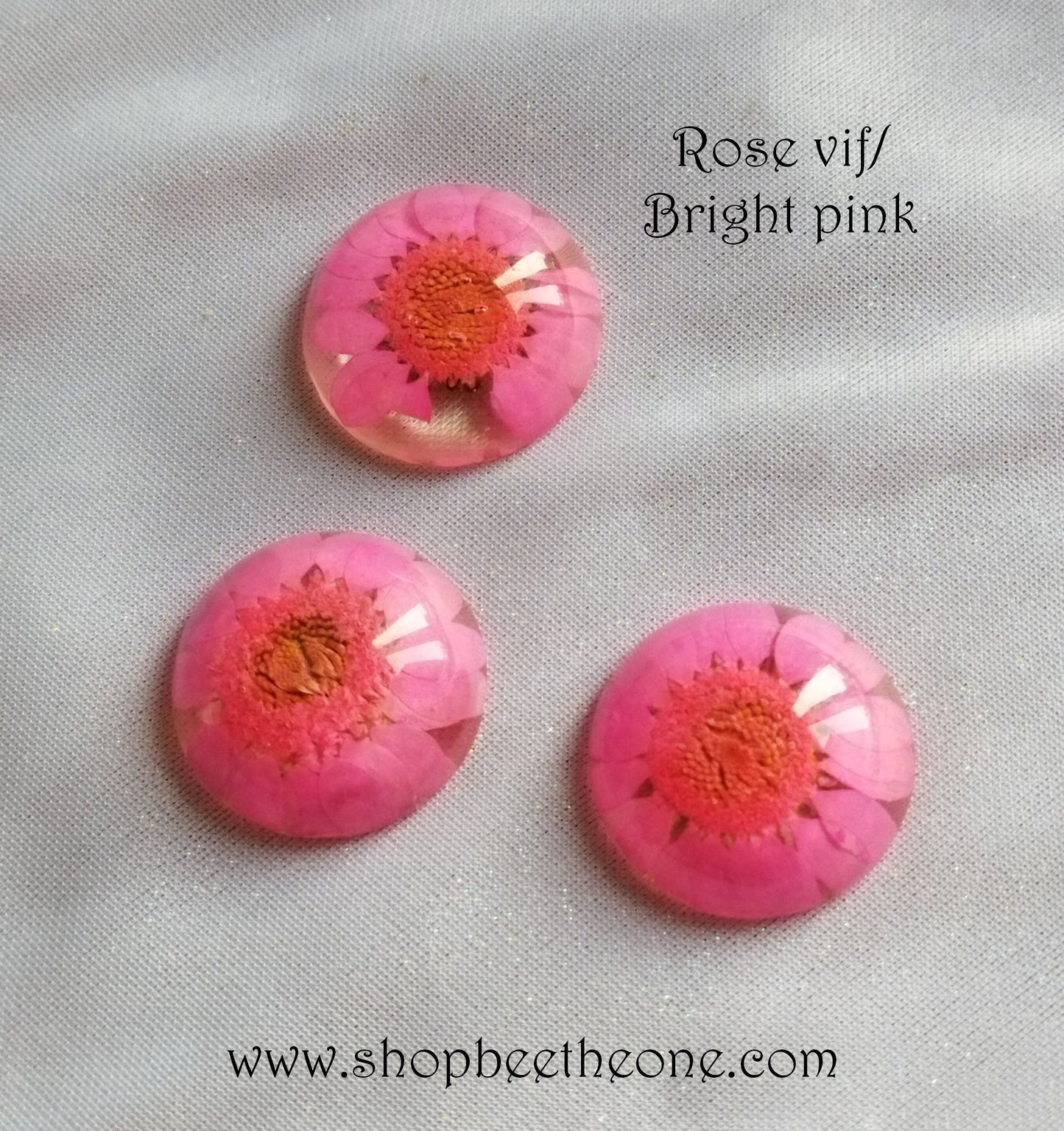 Cabochon rond en verre loupe avec Fleur séchée - 25 mm - 7 modèles