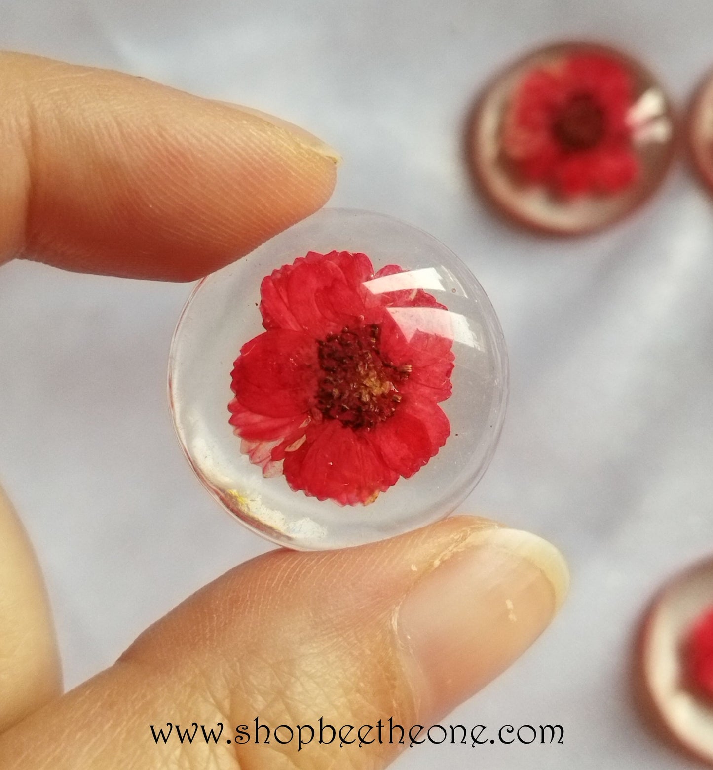 Cabochon rond en verre loupe avec Fleur séchée - 25 mm - 7 modèles