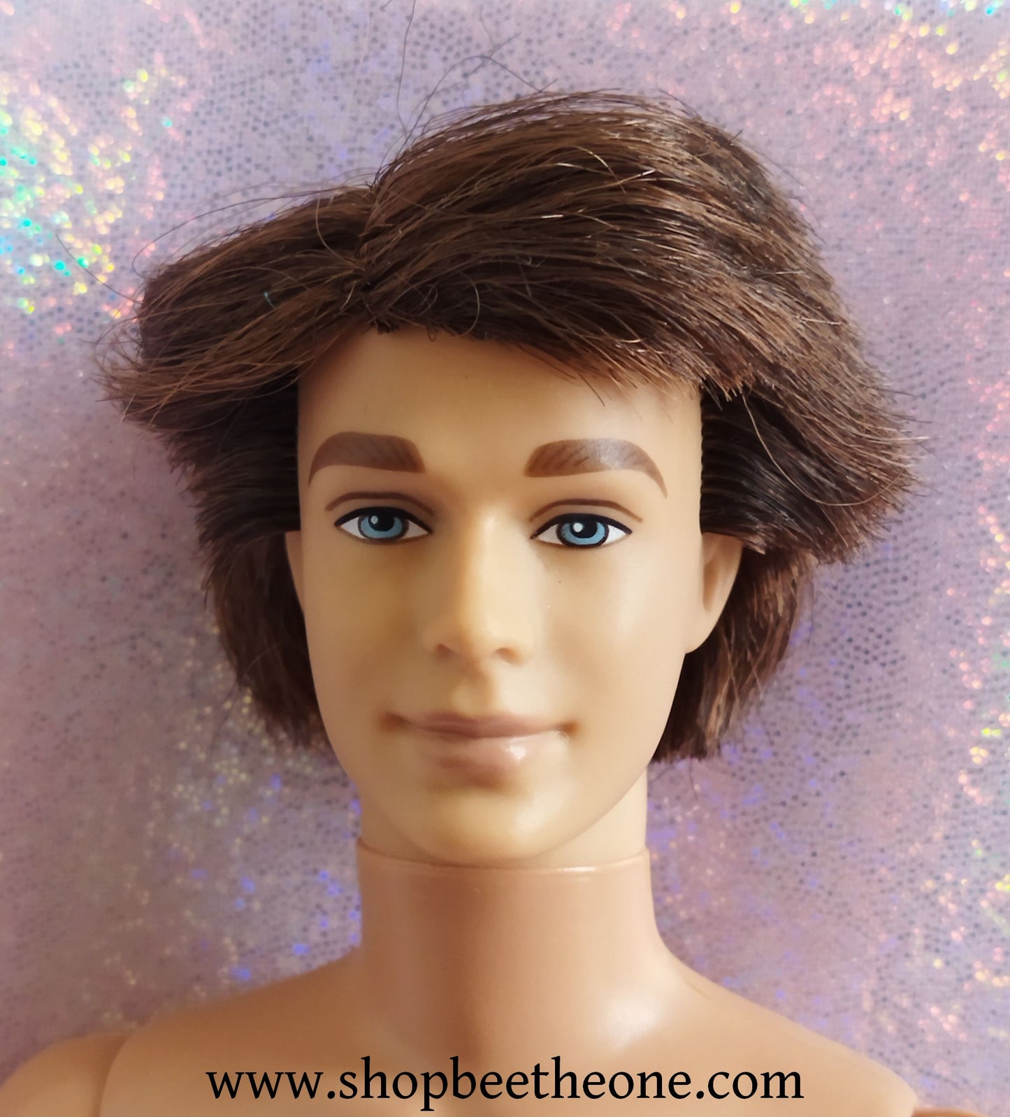 Barbie au Bal des 12 Princesses (Barbie and the 12 Dancing Princesses) - Prince Derek - Mattel 2006 - Poupée