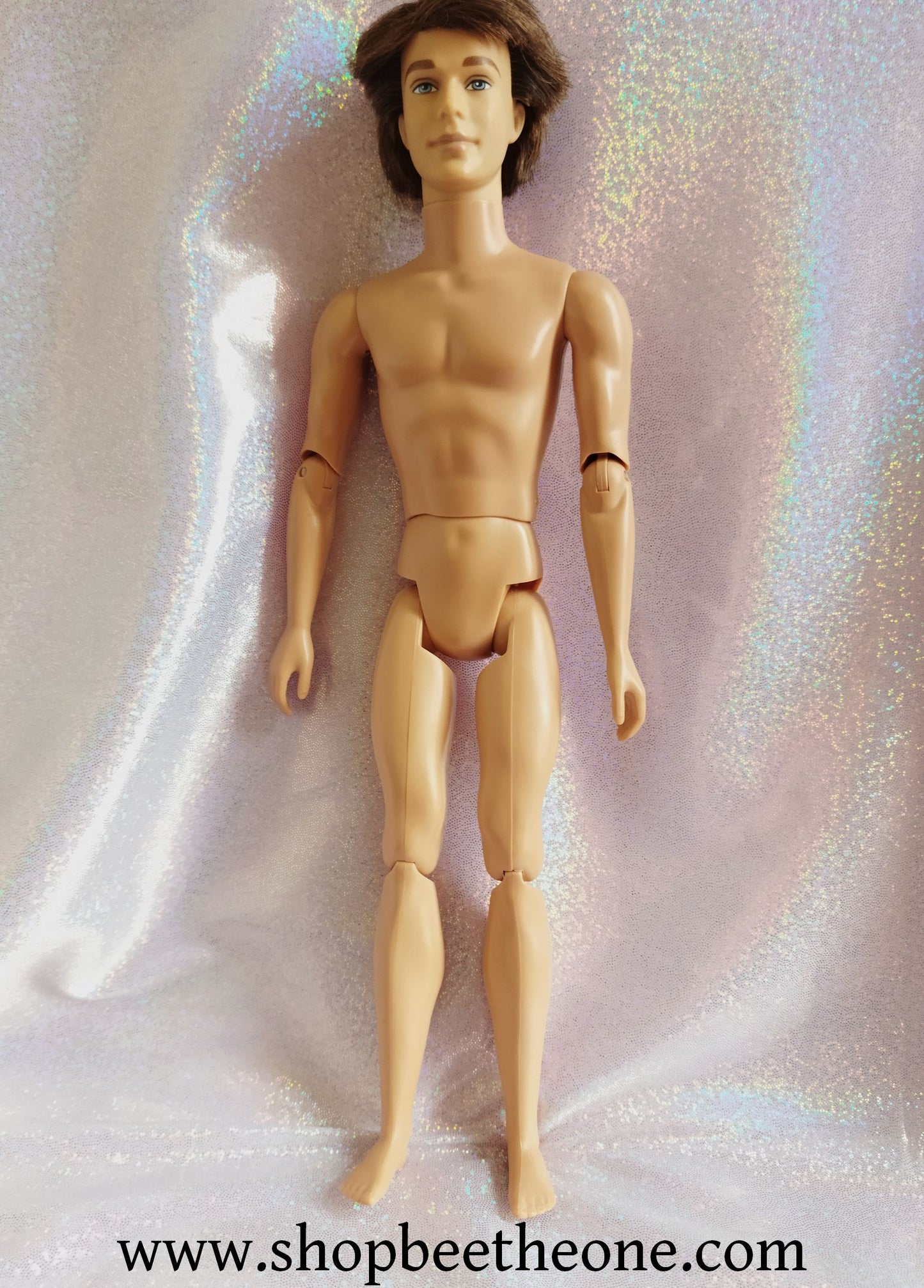 Barbie au Bal des 12 Princesses (Barbie and the 12 Dancing Princesses) - Prince Derek - Mattel 2006 - Poupée