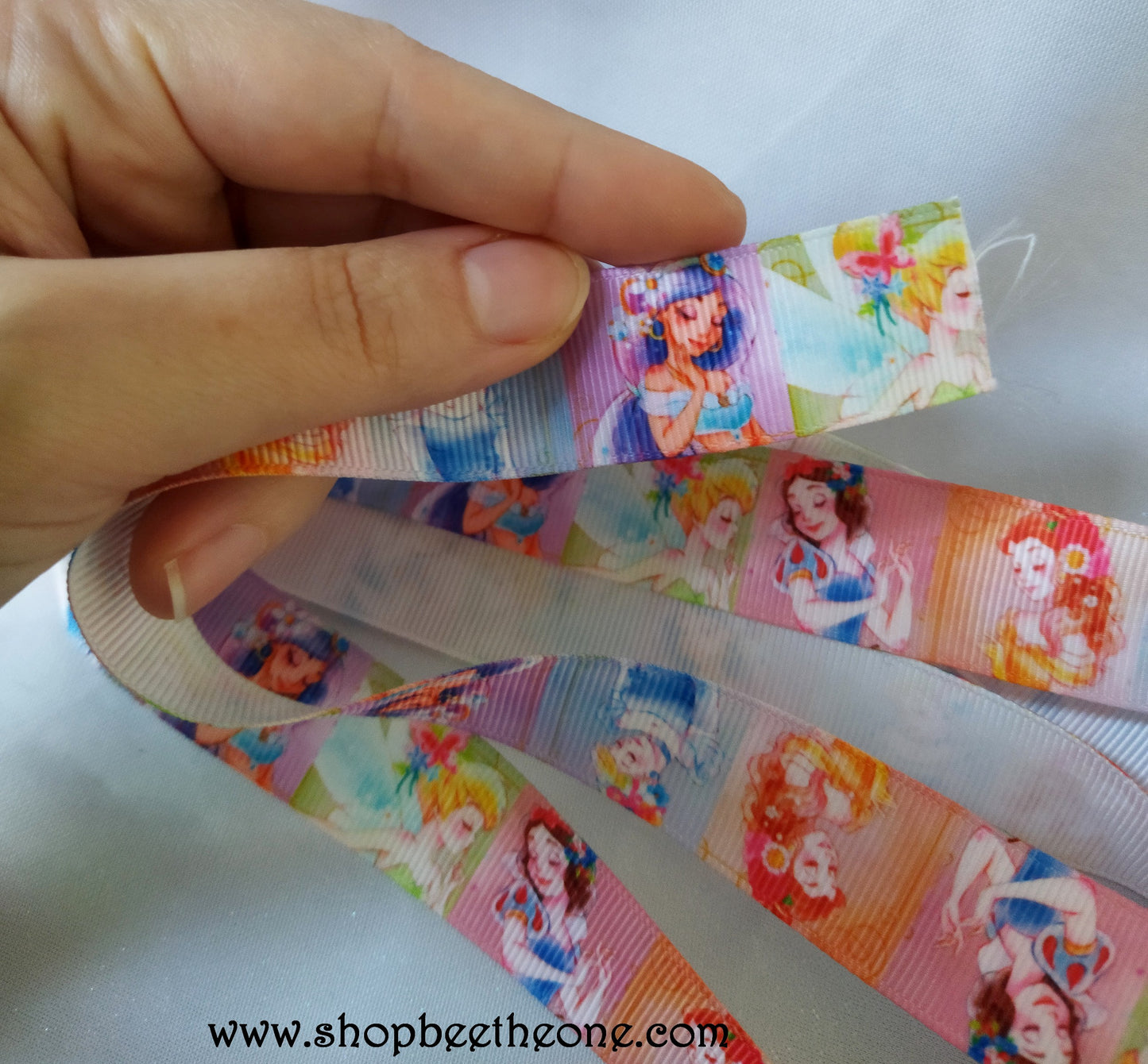 Ruban Gros grain - 22 mm x 1 mètre - Délicates Princesses