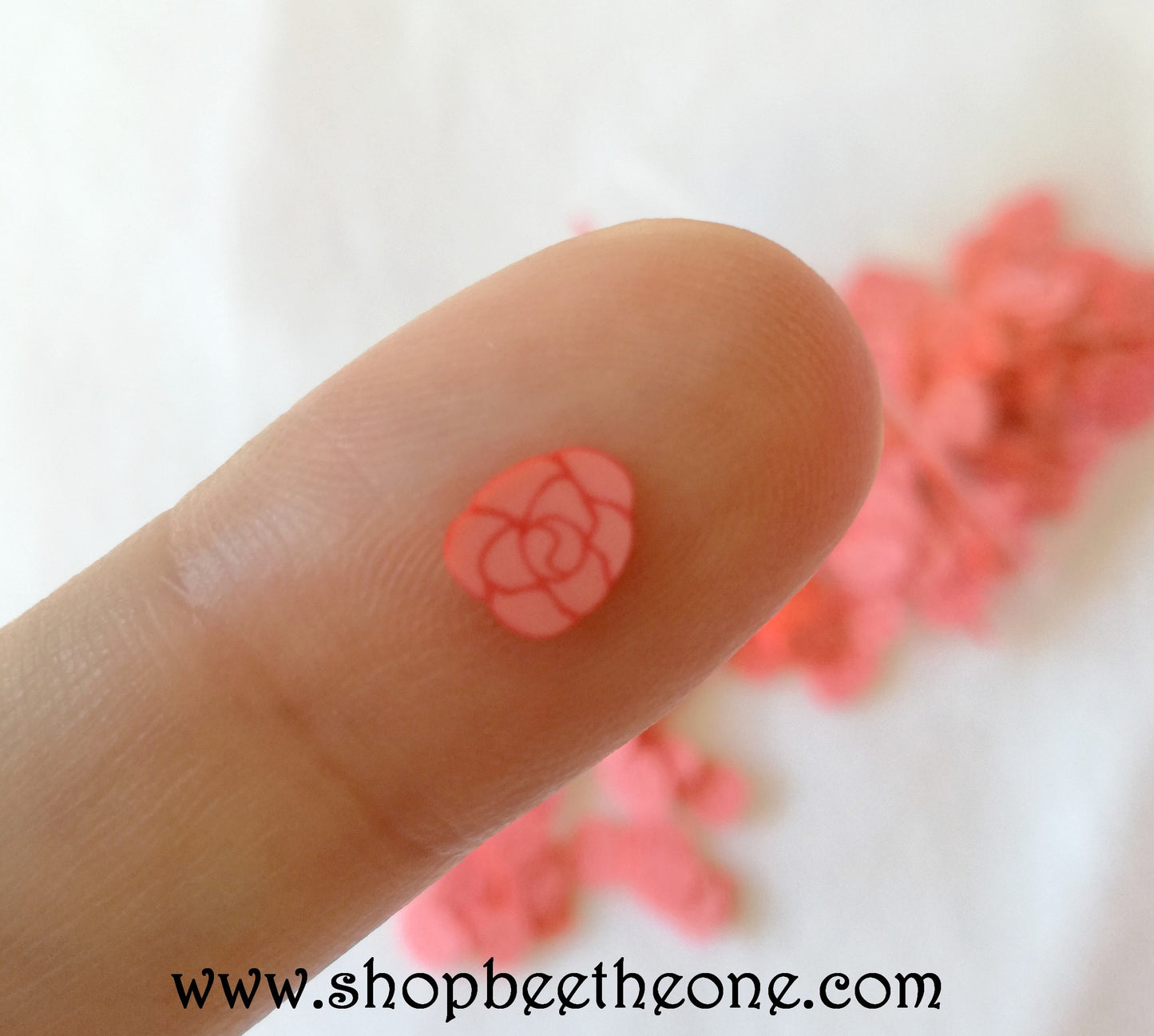 1 g (+/- 60 pièces) de Tranches de Fimo Pâte Polymère - Fleur Rose rouge et rose