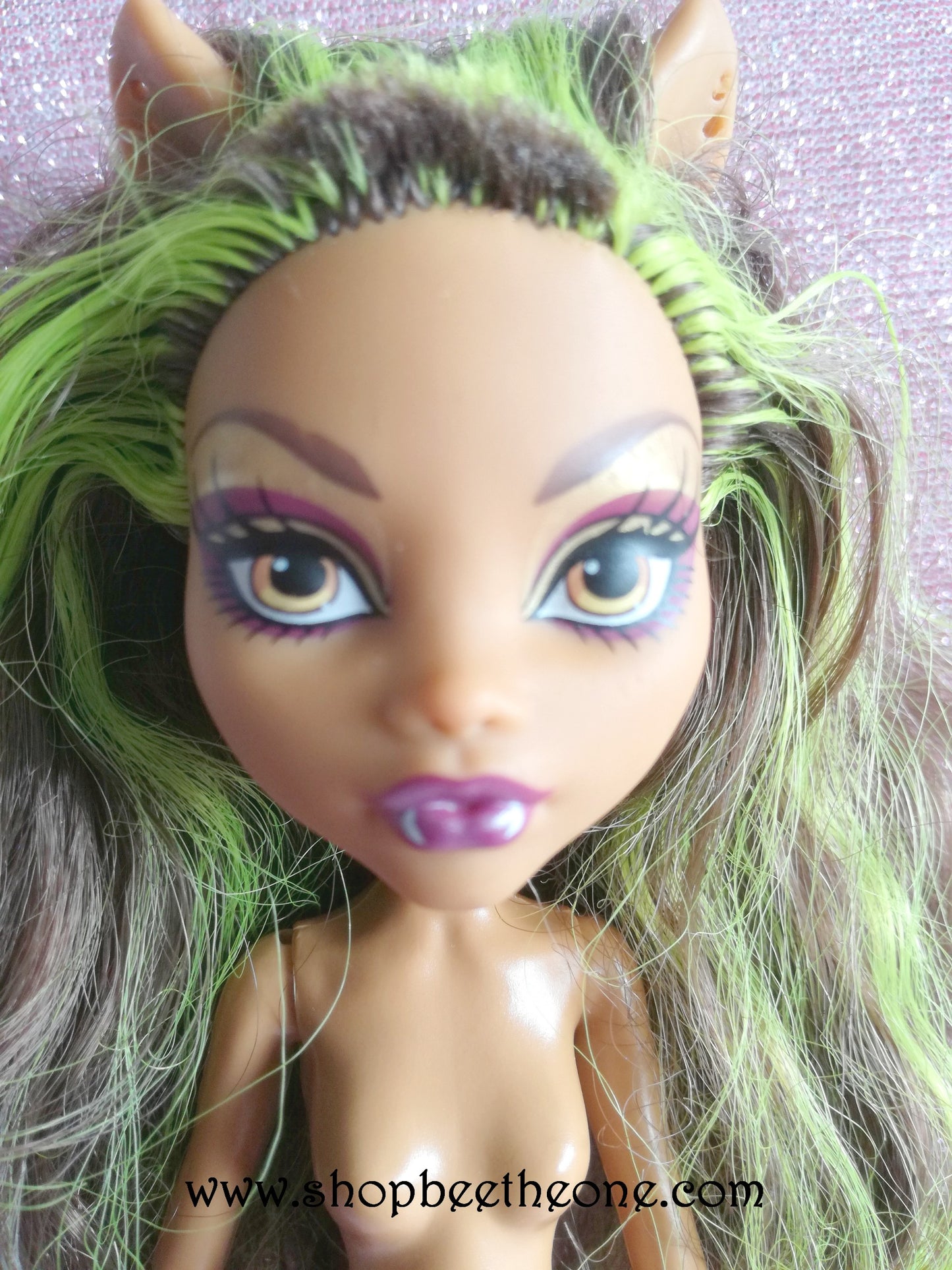 Clawdeen Wolf "Wonder Wolf" Power Ghoul- Mattel 2013 - Poupée - Chaussures - Accessoires