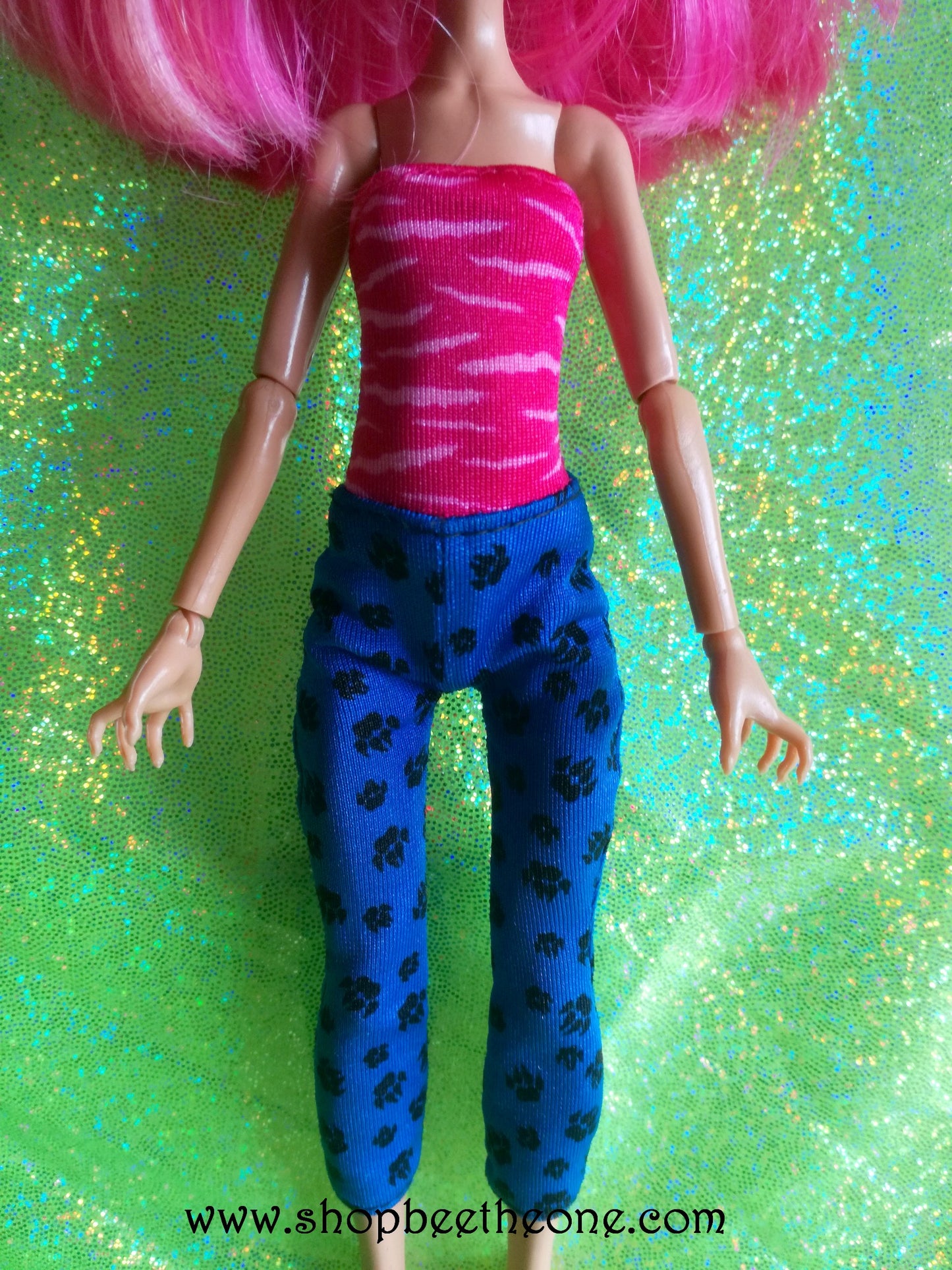 Howleen Wolf A Pack of trouble - Mattel 2013 - Vêtements