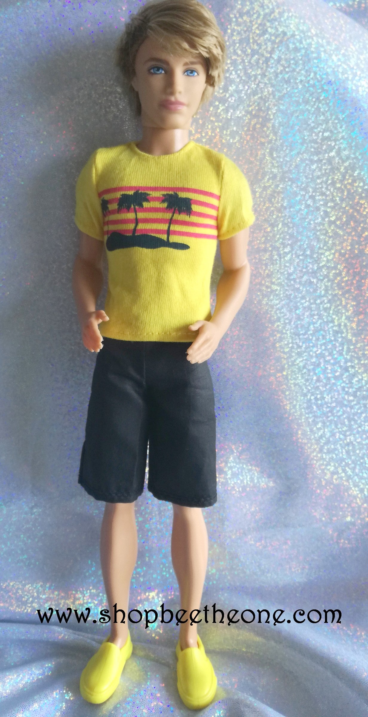 Barbie et Ken Beach Cruiser - Mattel 2013 - Poupée - vêtements - chaussures