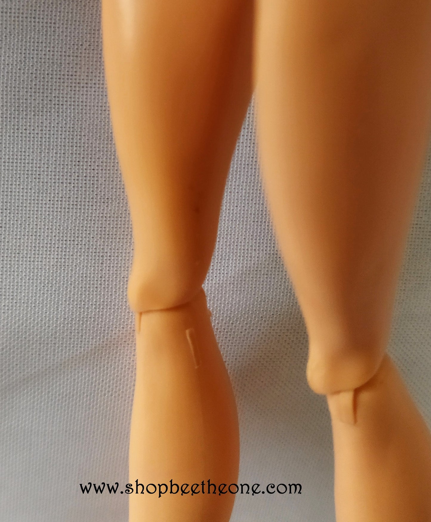 Cleo de Nile Basic 2 "School's out" - Mattel 2011 - Poupée - Vêtement - Accessoire
