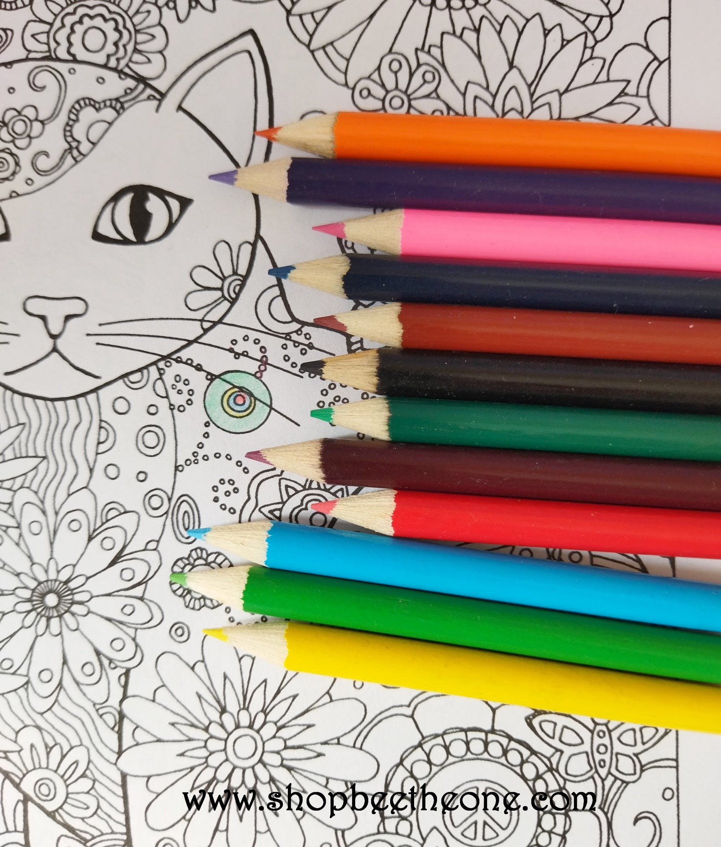 Lot de 12 Mini Crayons de couleur en bois