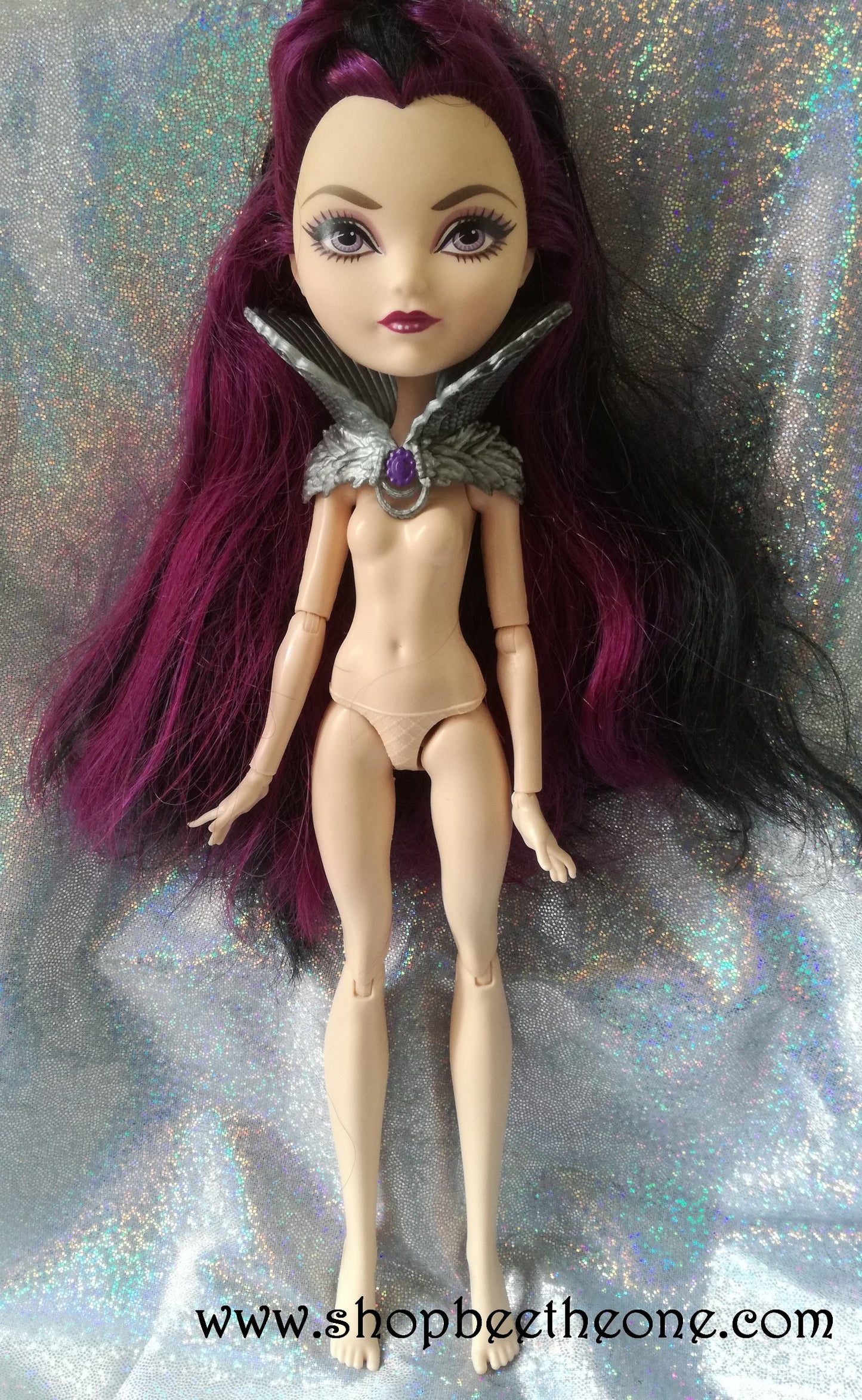 Raven Queen "Signature" - Mattel 2013 - Poupée - Vêtements - Chaussures - Accessoires