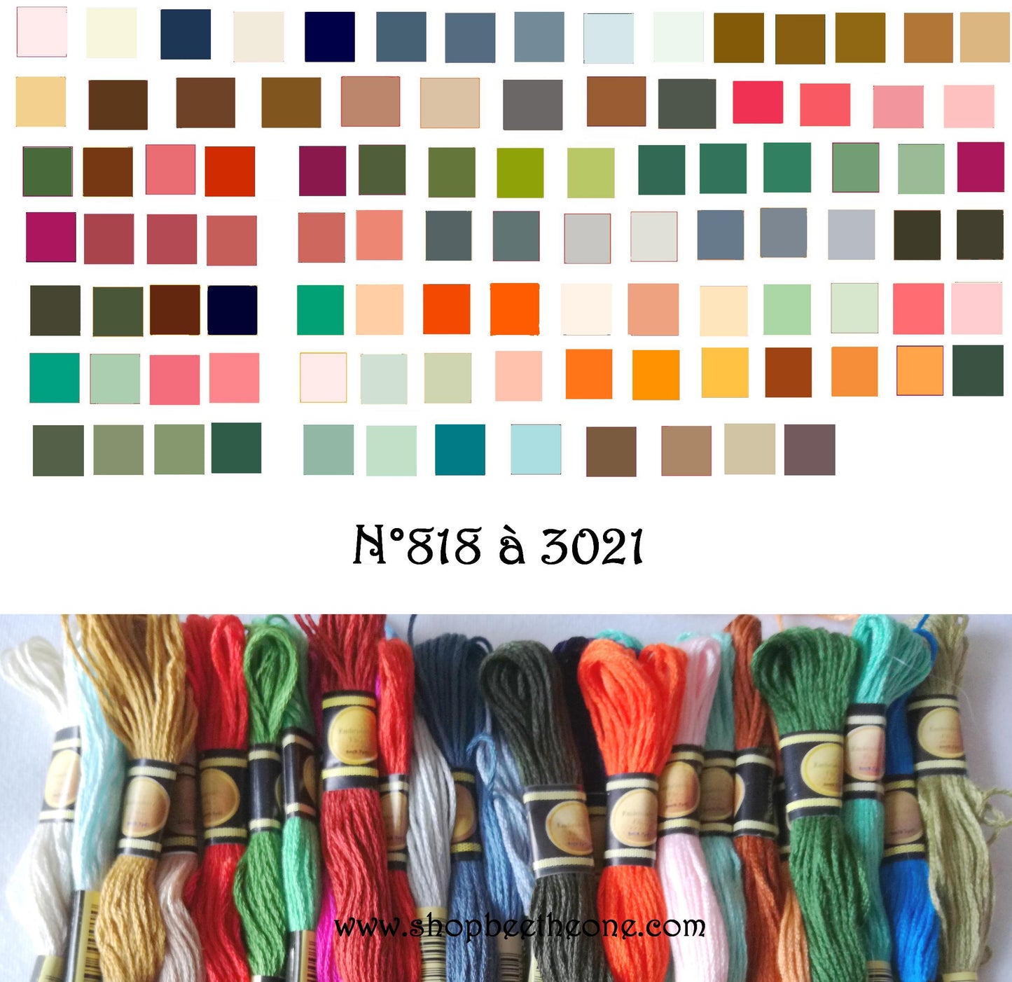 Fil écheveau de coton mouliné pour broderie - 8 m - 6 brins - Coloris DMC 818 à 3021 - sans marque