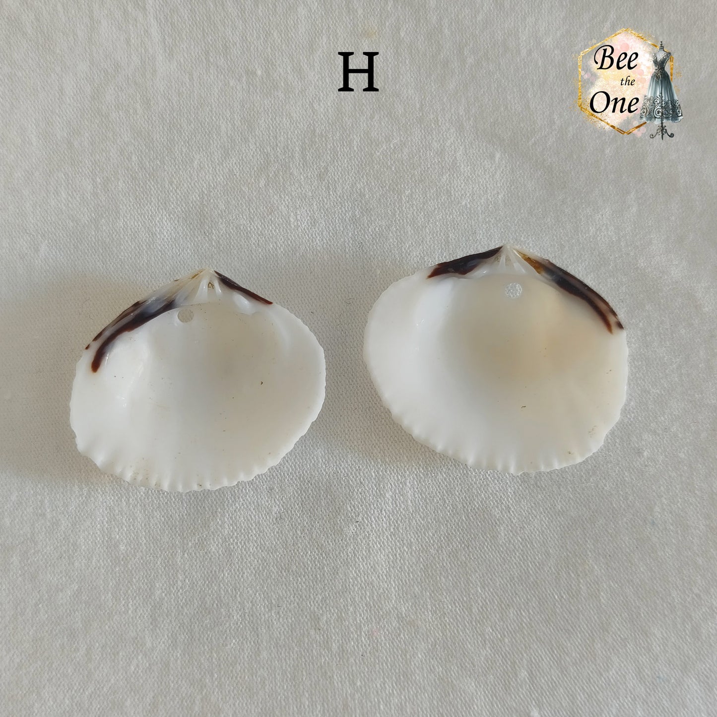 Paire de Breloques pendentif Coquillage naturel Coque - de 24 à 36 mm (au choix) - naturel