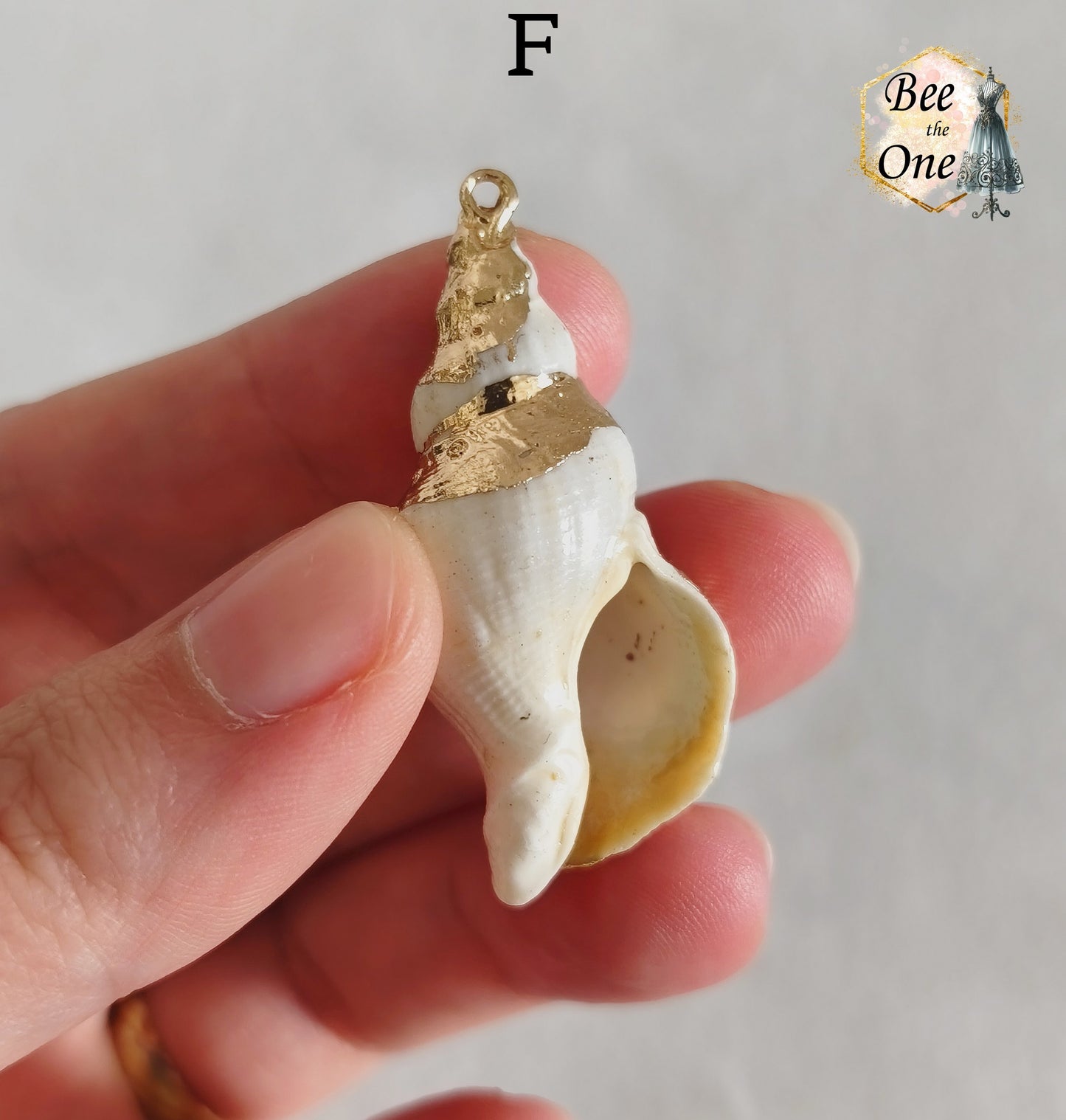 Breloque pendentif Coquillage naturel Buccin - de 40 à 60 mm (au choix) - naturel/doré