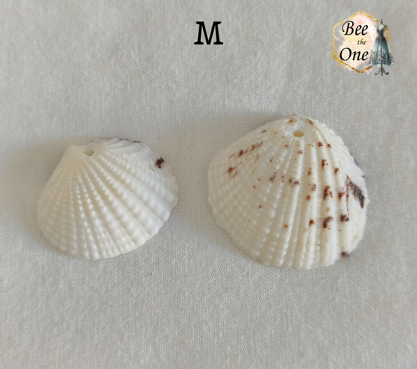Paire de Breloques pendentif Coquillage naturel Coque - de 24 à 36 mm (au choix) - naturel