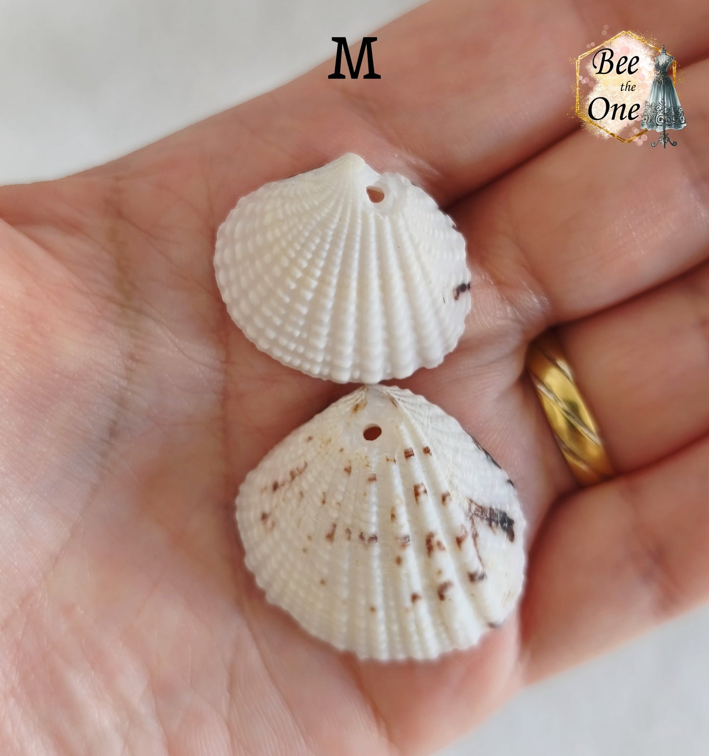 Paire de Breloques pendentif Coquillage naturel Coque - de 24 à 36 mm (au choix) - naturel