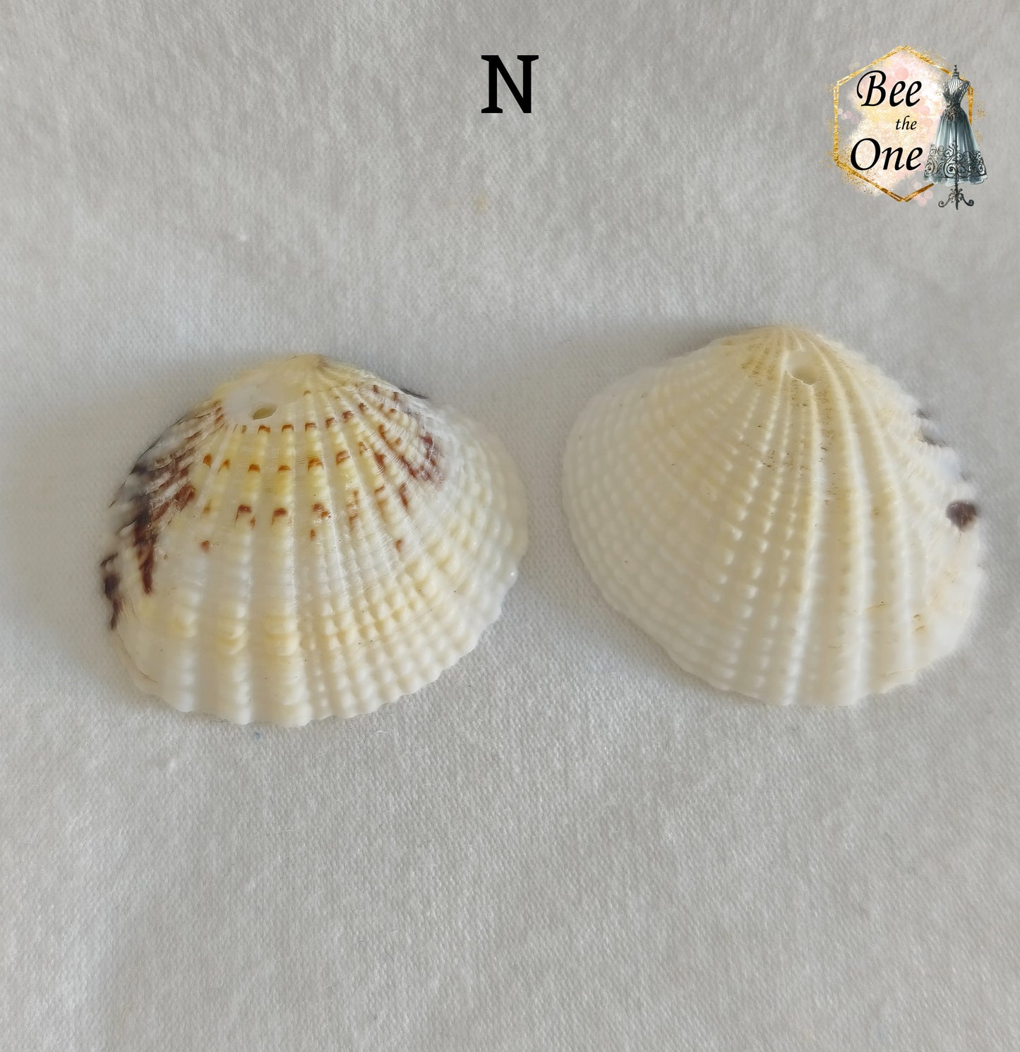 Paire de Breloques pendentif Coquillage naturel Coque - de 24 à 36 mm (au choix) - naturel