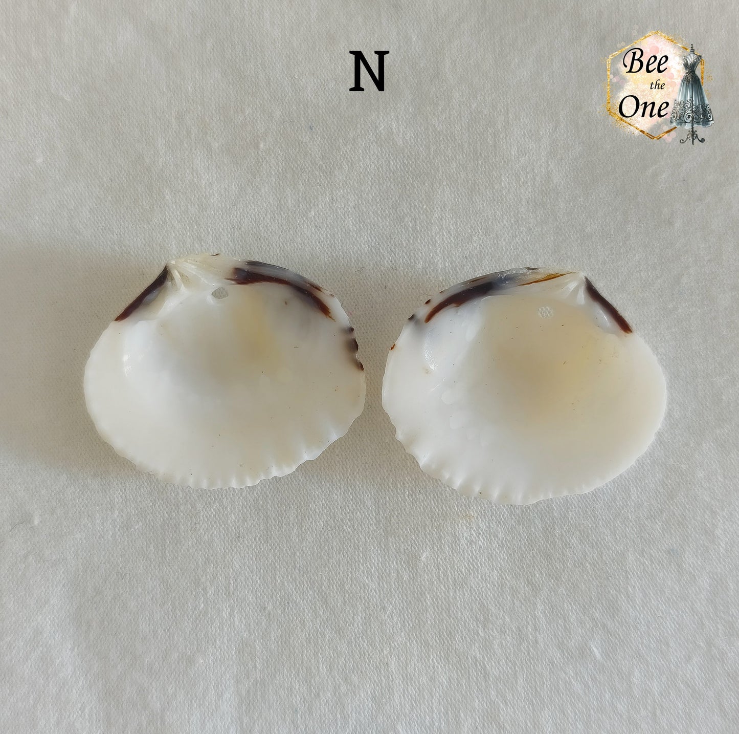Paire de Breloques pendentif Coquillage naturel Coque - de 24 à 36 mm (au choix) - naturel