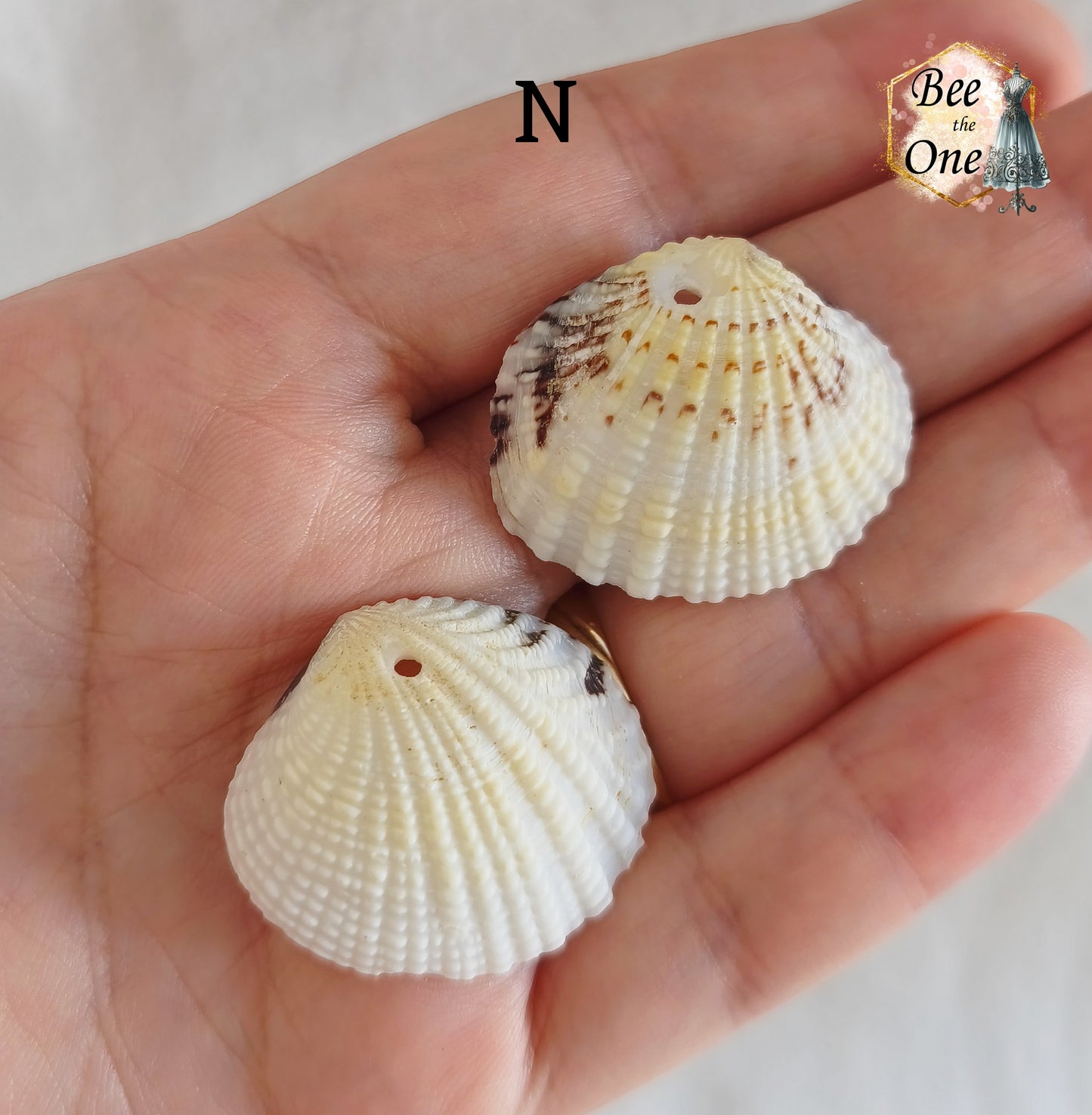 Paire de Breloques pendentif Coquillage naturel Coque - de 24 à 36 mm (au choix) - naturel