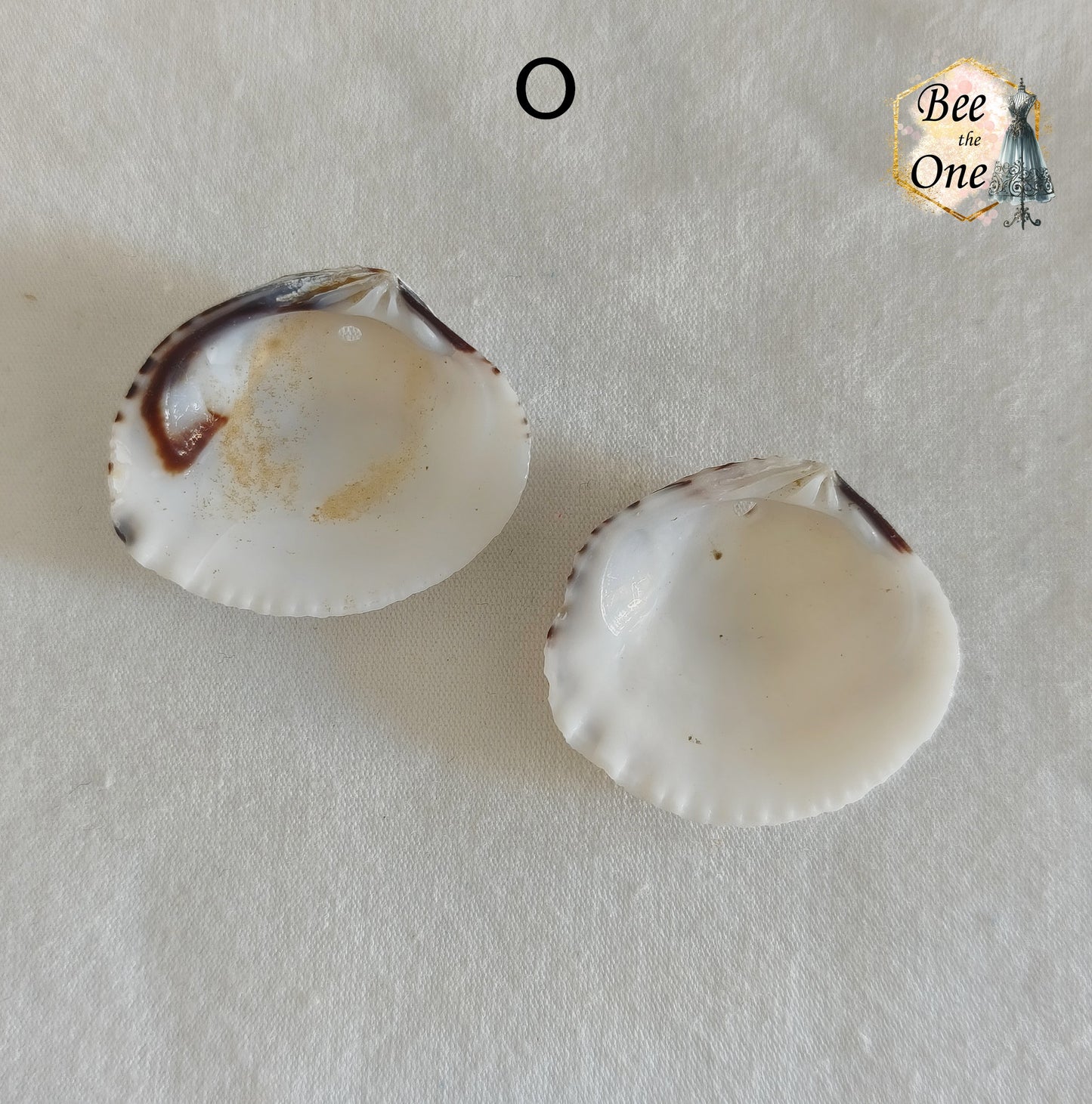 Paire de Breloques pendentif Coquillage naturel Coque - de 24 à 36 mm (au choix) - naturel