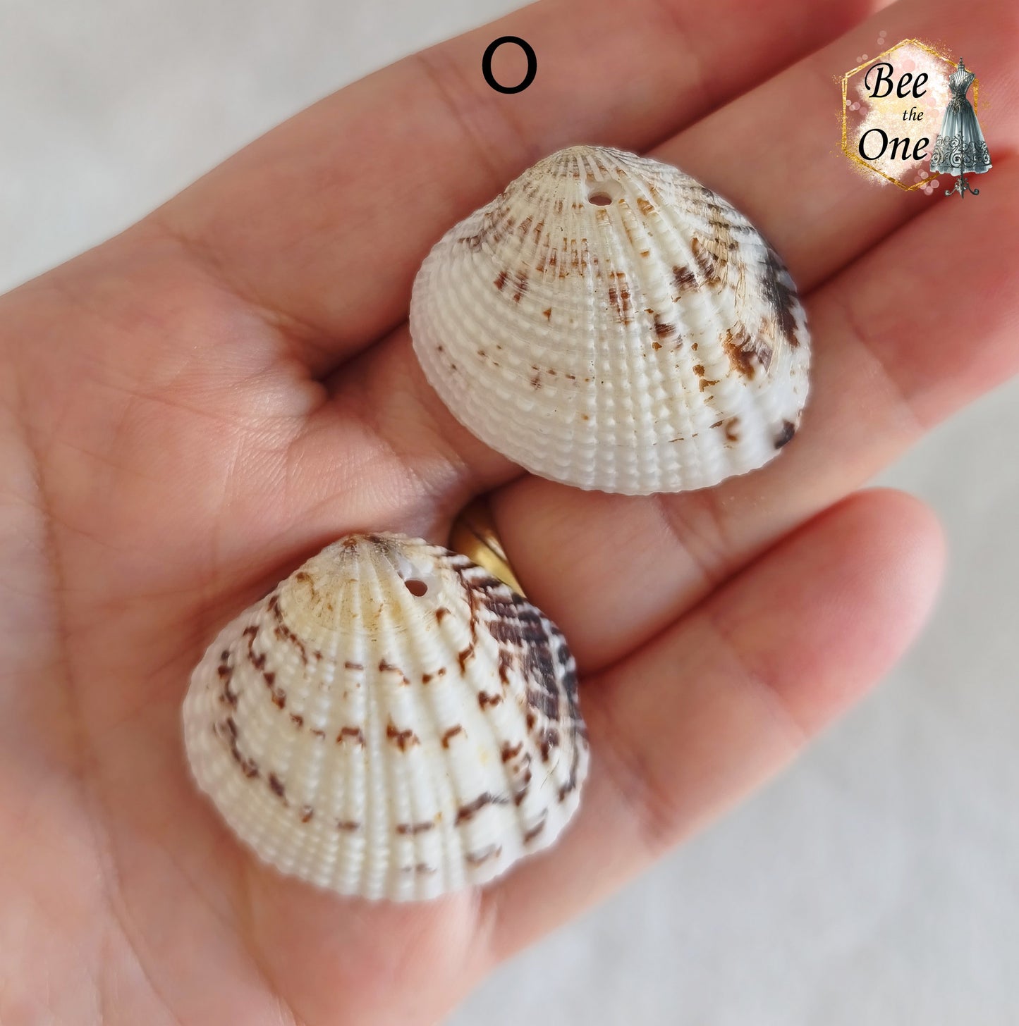 Paire de Breloques pendentif Coquillage naturel Coque - de 24 à 36 mm (au choix) - naturel