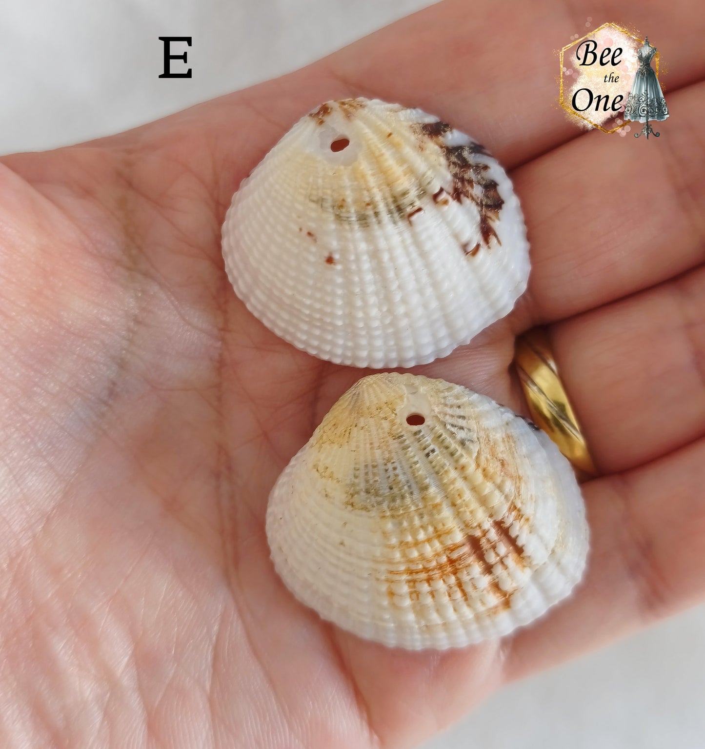 Paire de Breloques pendentif Coquillage naturel Coque - de 24 à 36 mm (au choix) - naturel