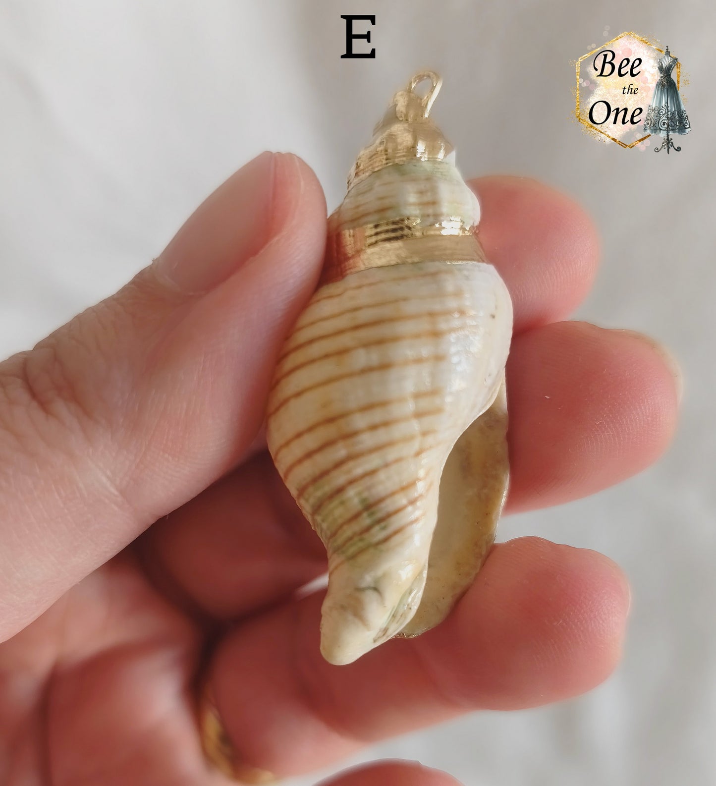 Breloque pendentif Coquillage naturel Buccin - de 40 à 60 mm (au choix) - naturel/doré