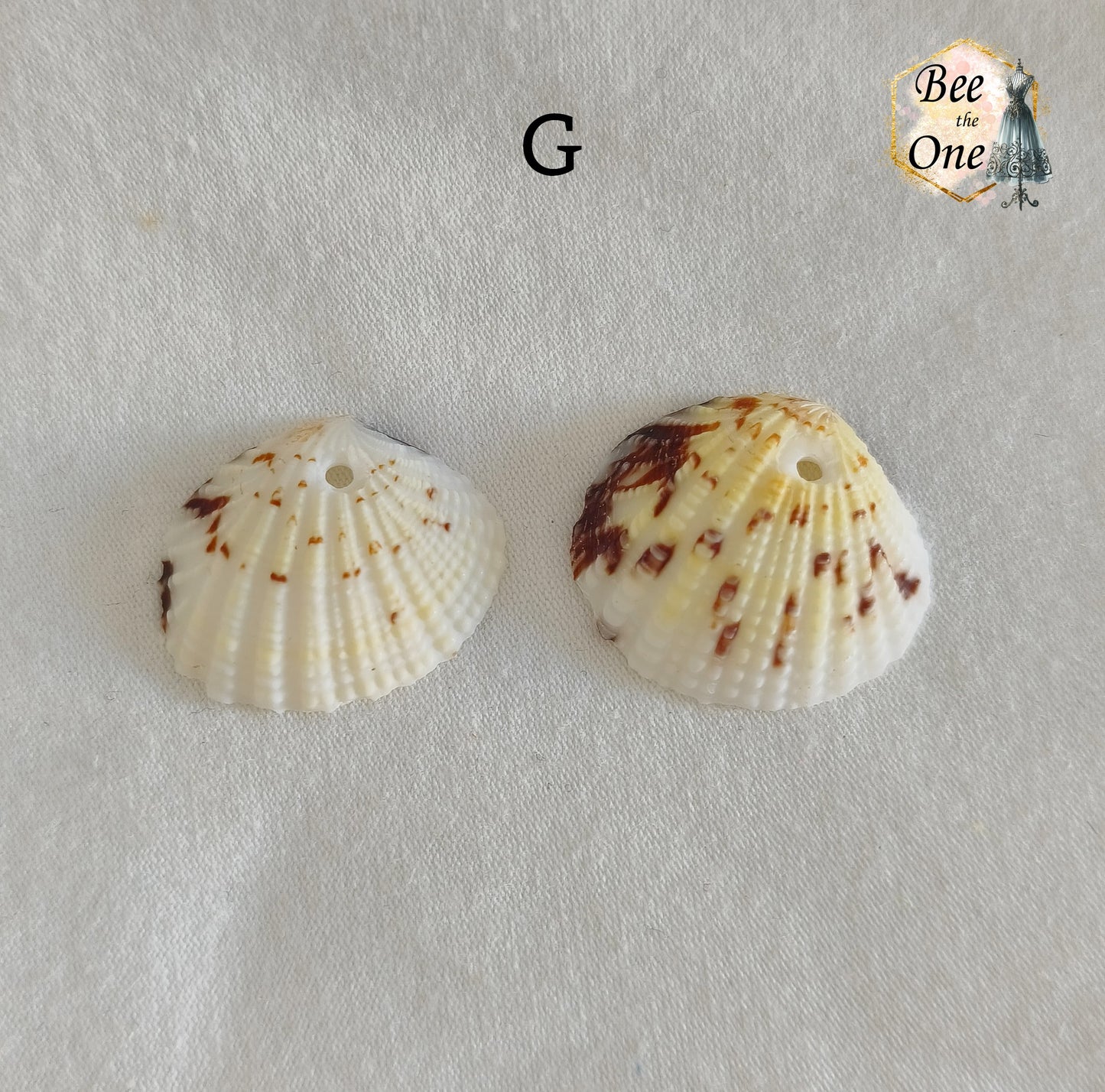 Paire de Breloques pendentif Coquillage naturel Coque - de 24 à 36 mm (au choix) - naturel