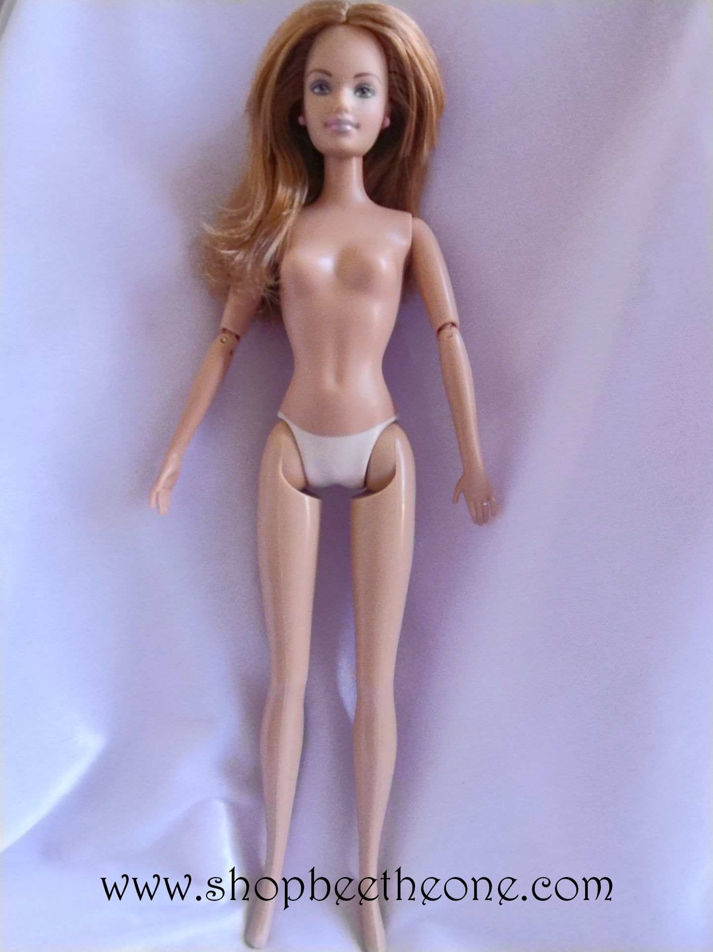 Barbie La Famille du Bonheur (Happy Family) Midge et Nikki Neighborhood - Mattel 2004 - Poupée nue - Chaussures - Accessoire