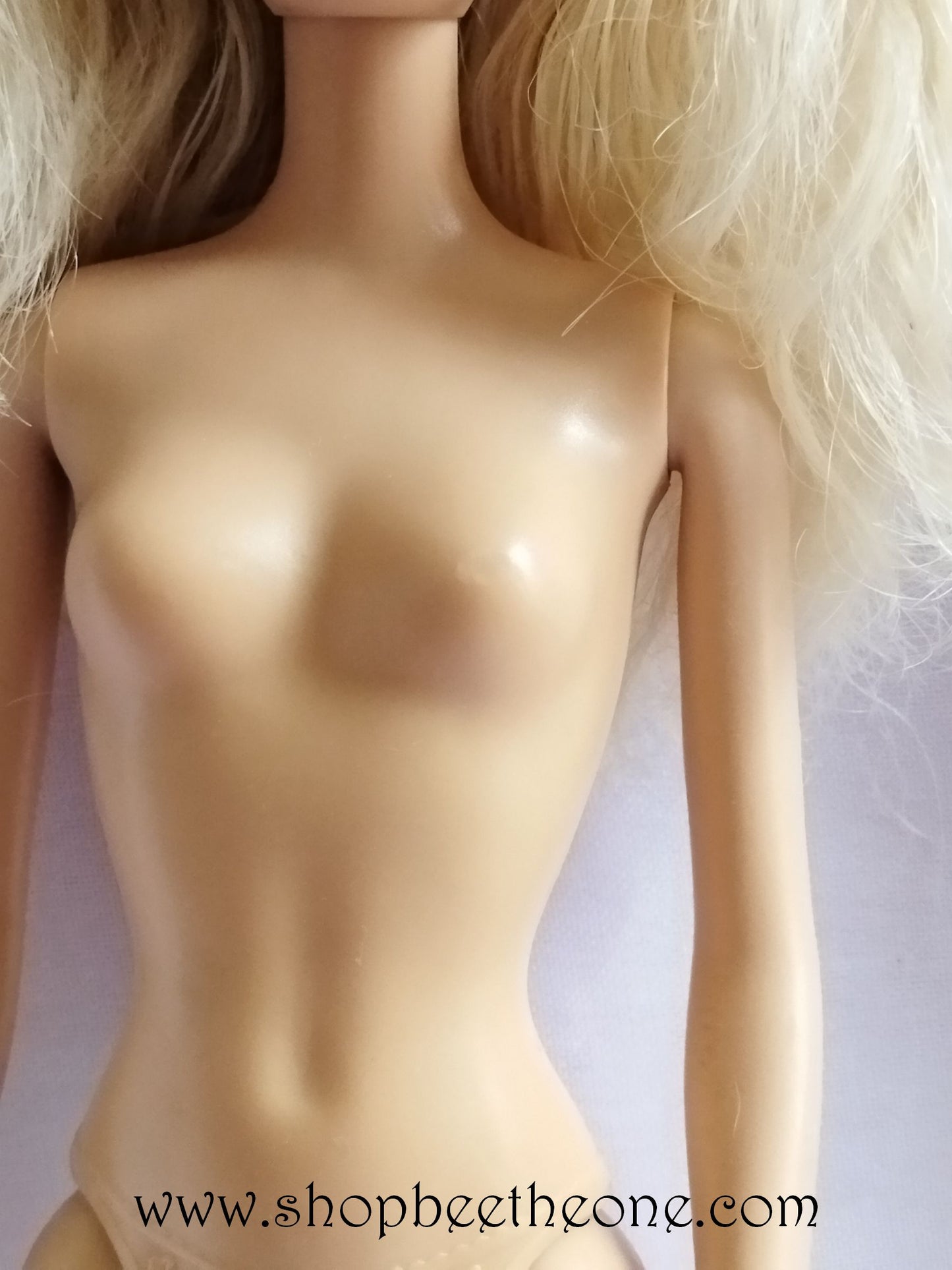 Barbie Chic BCN30 - Mattel 2014 - Poupée