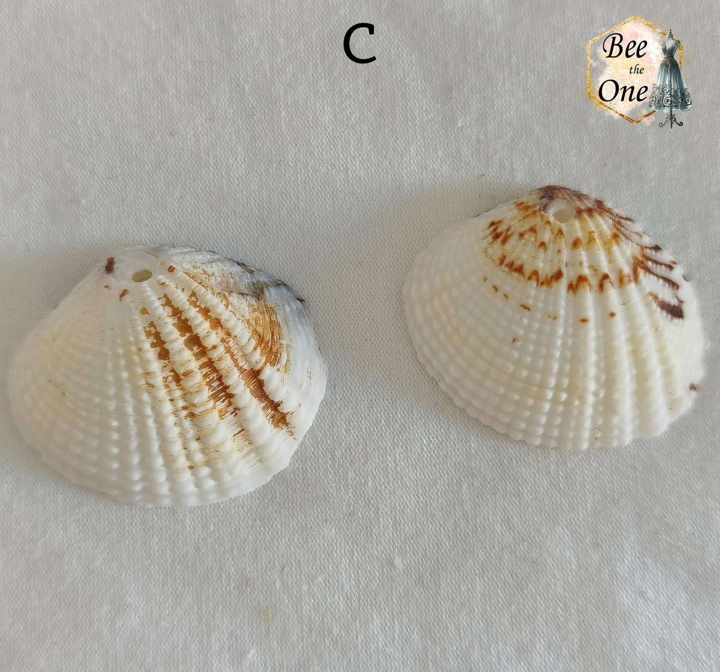 Paire de Breloques pendentif Coquillage naturel Coque - de 24 à 36 mm (au choix) - naturel