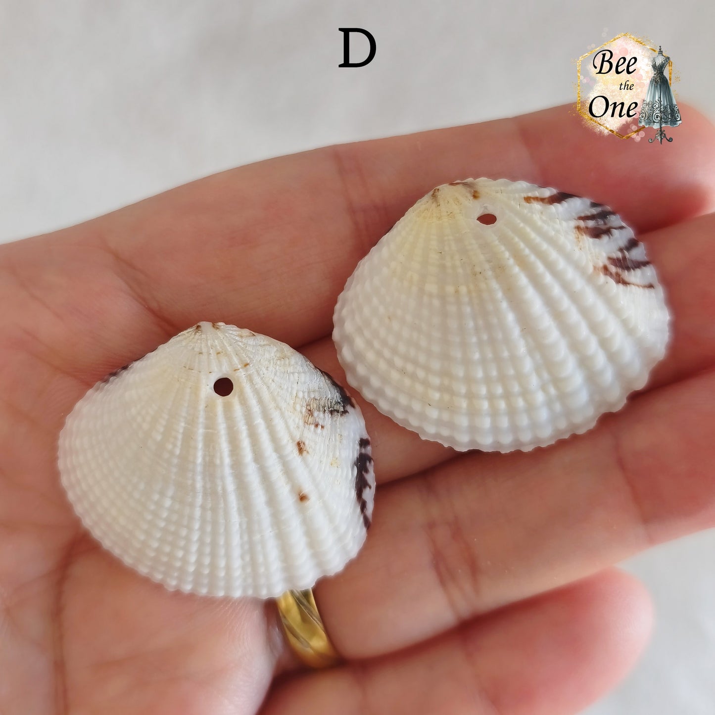 Paire de Breloques pendentif Coquillage naturel Coque - de 24 à 36 mm (au choix) - naturel
