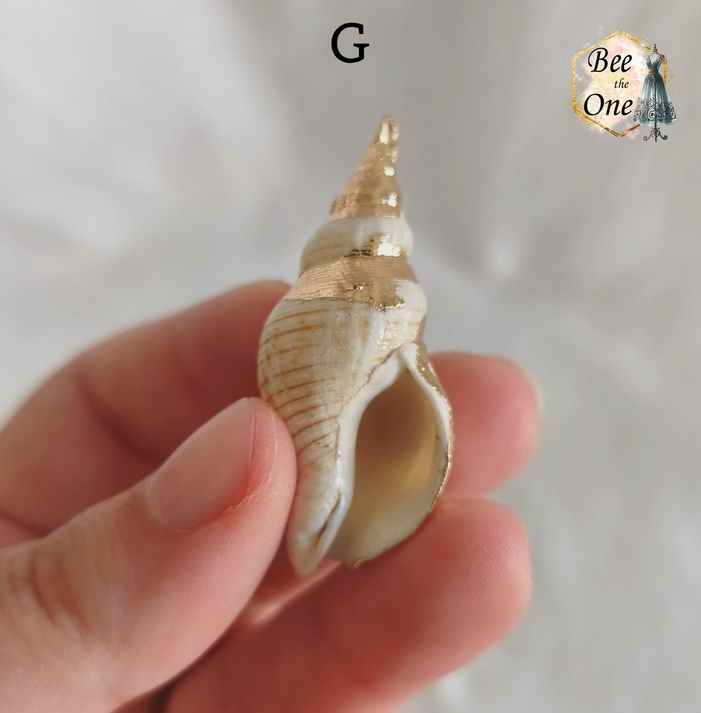 Breloque pendentif Coquillage naturel Buccin - de 40 à 60 mm (au choix) - naturel/doré
