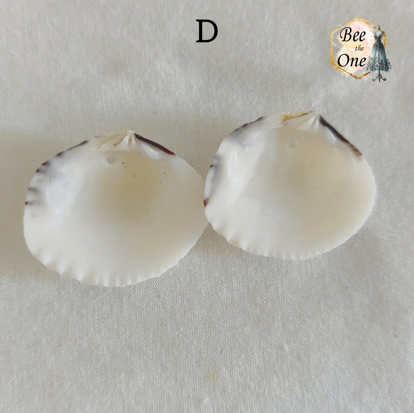 Paire de Breloques pendentif Coquillage naturel Coque - de 24 à 36 mm (au choix) - naturel