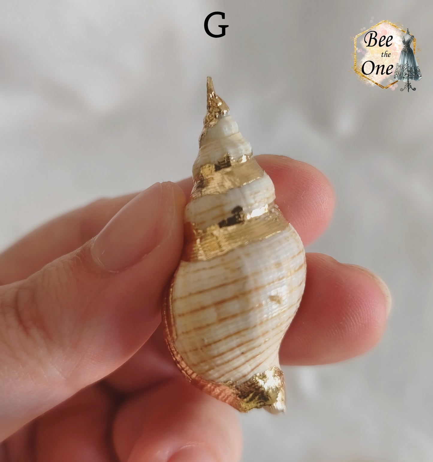Breloque pendentif Coquillage naturel Buccin - de 40 à 60 mm (au choix) - naturel/doré