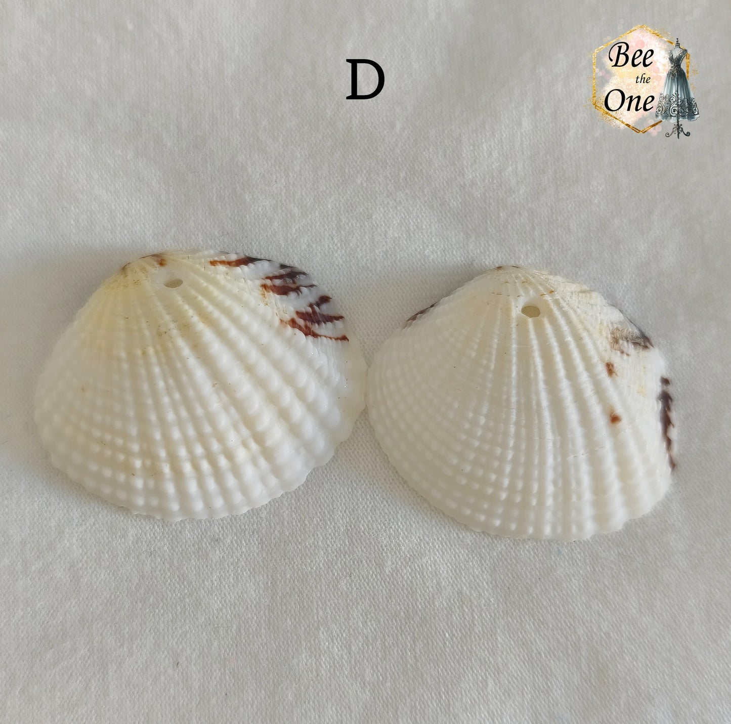 Paire de Breloques pendentif Coquillage naturel Coque - de 24 à 36 mm (au choix) - naturel