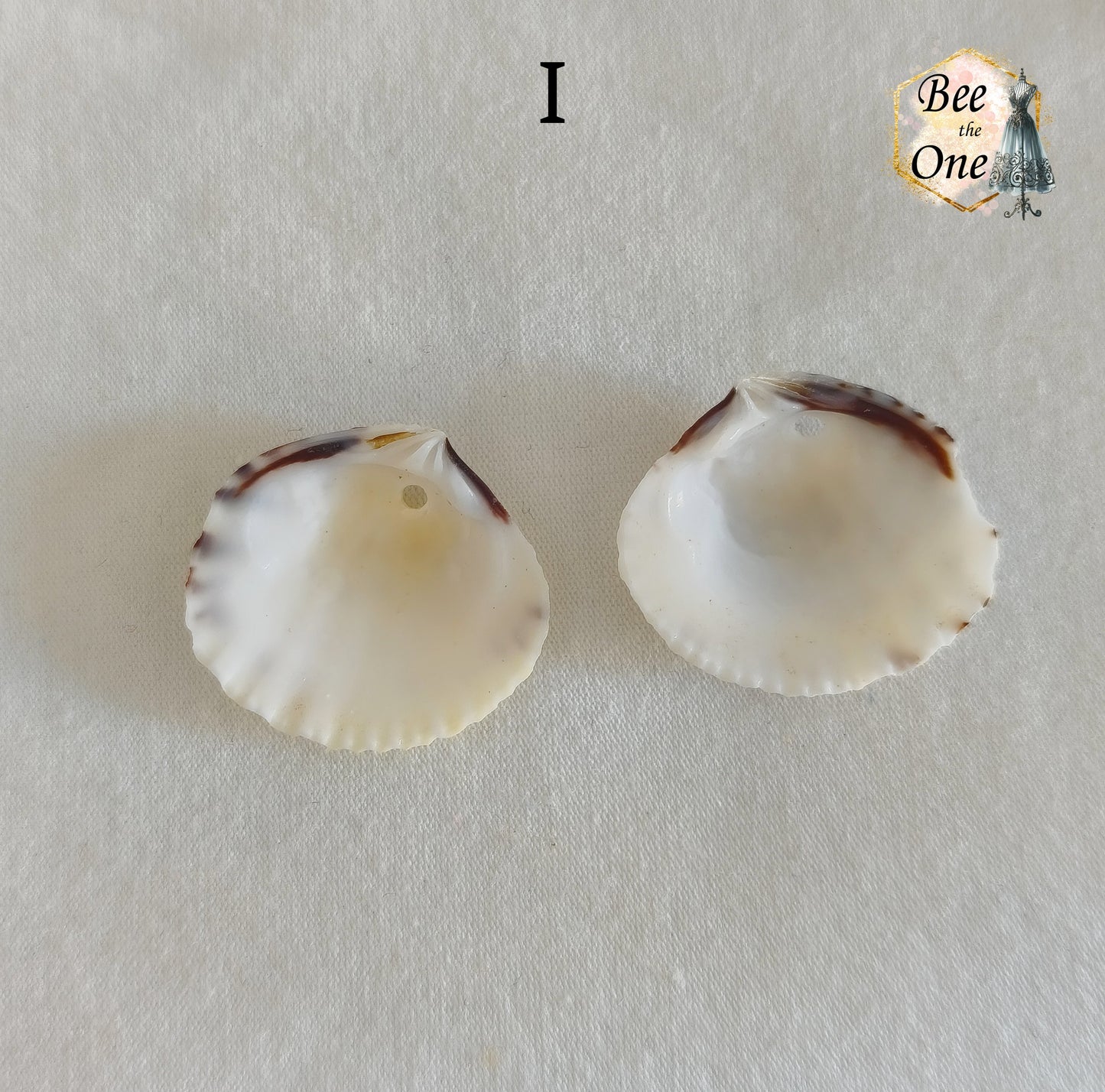 Paire de Breloques pendentif Coquillage naturel Coque - de 24 à 36 mm (au choix) - naturel