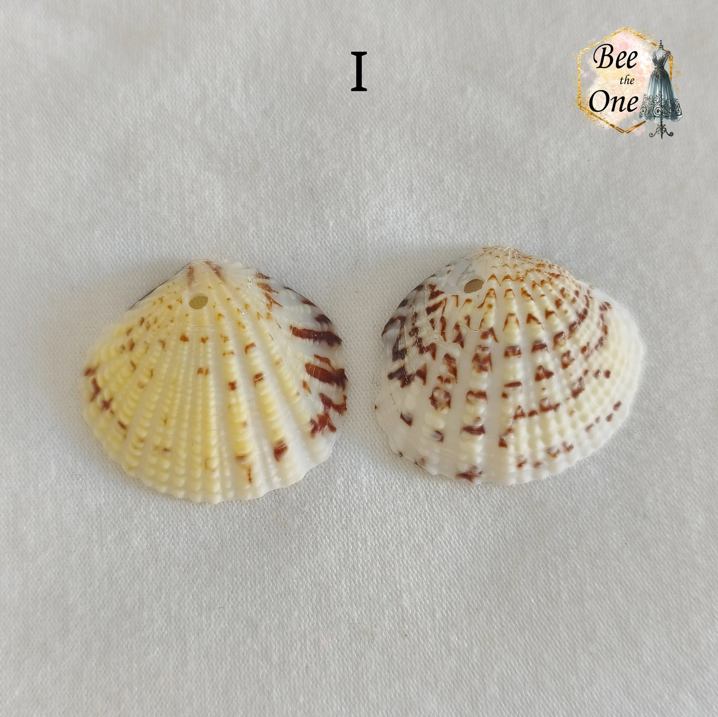 Paire de Breloques pendentif Coquillage naturel Coque - de 24 à 36 mm (au choix) - naturel